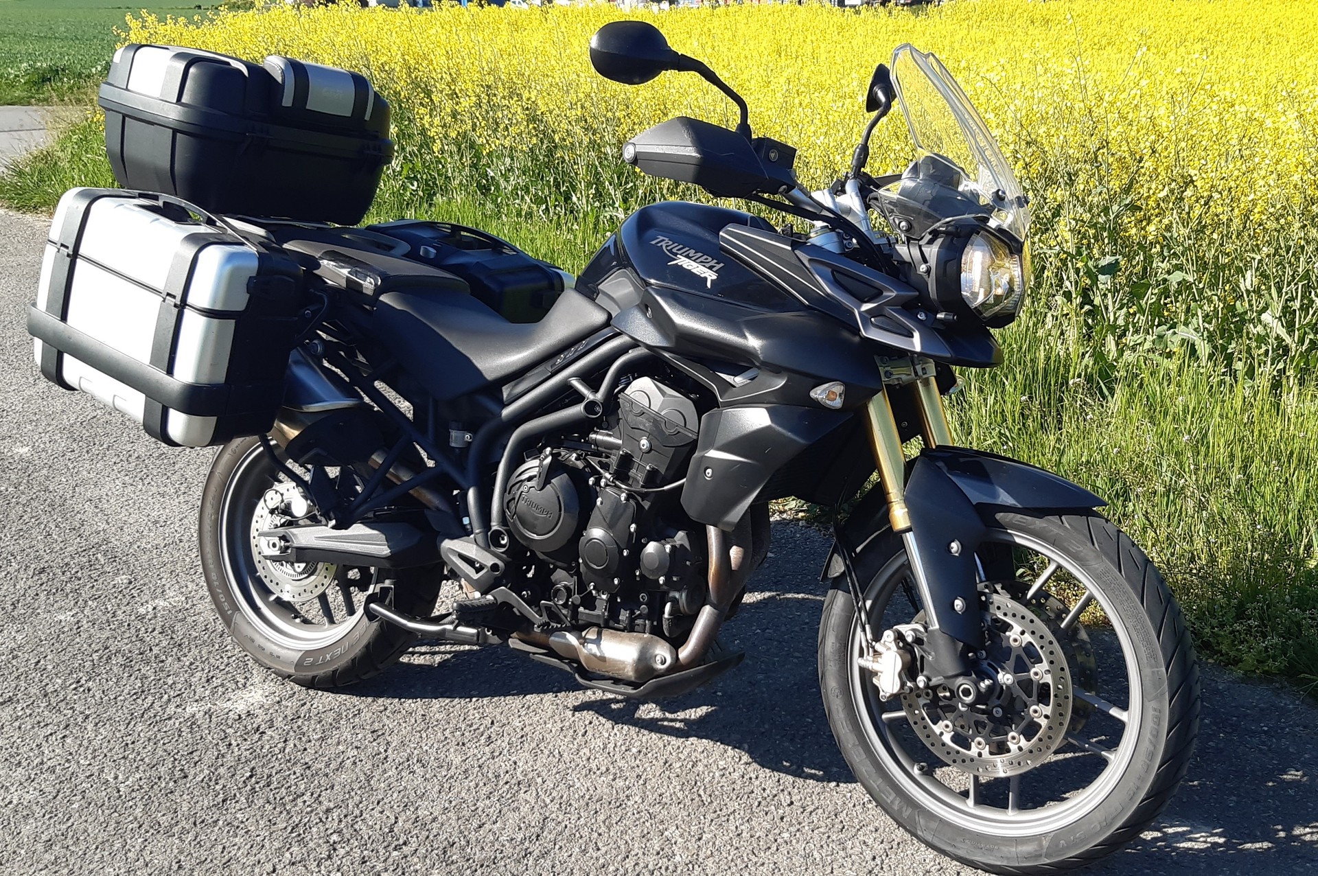 TRIUMPH Tiger 800 ABS-image-1