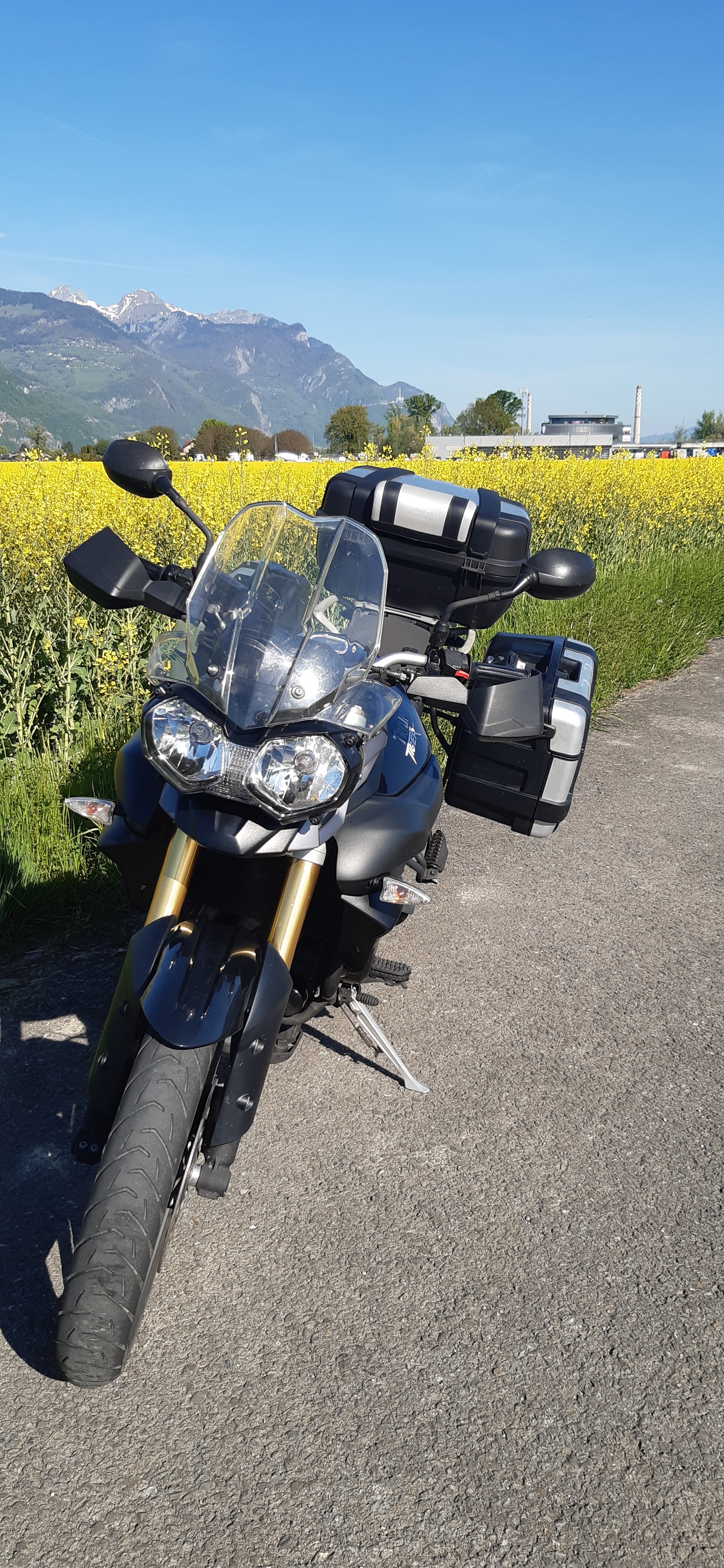 TRIUMPH Tiger 800 ABS-image-4
