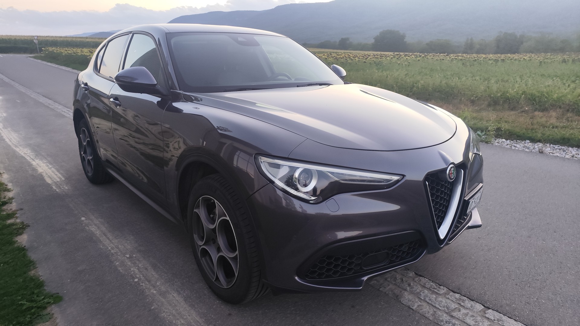 ALFA ROMEO Stelvio 2.0 Q4 Automatic-image-2