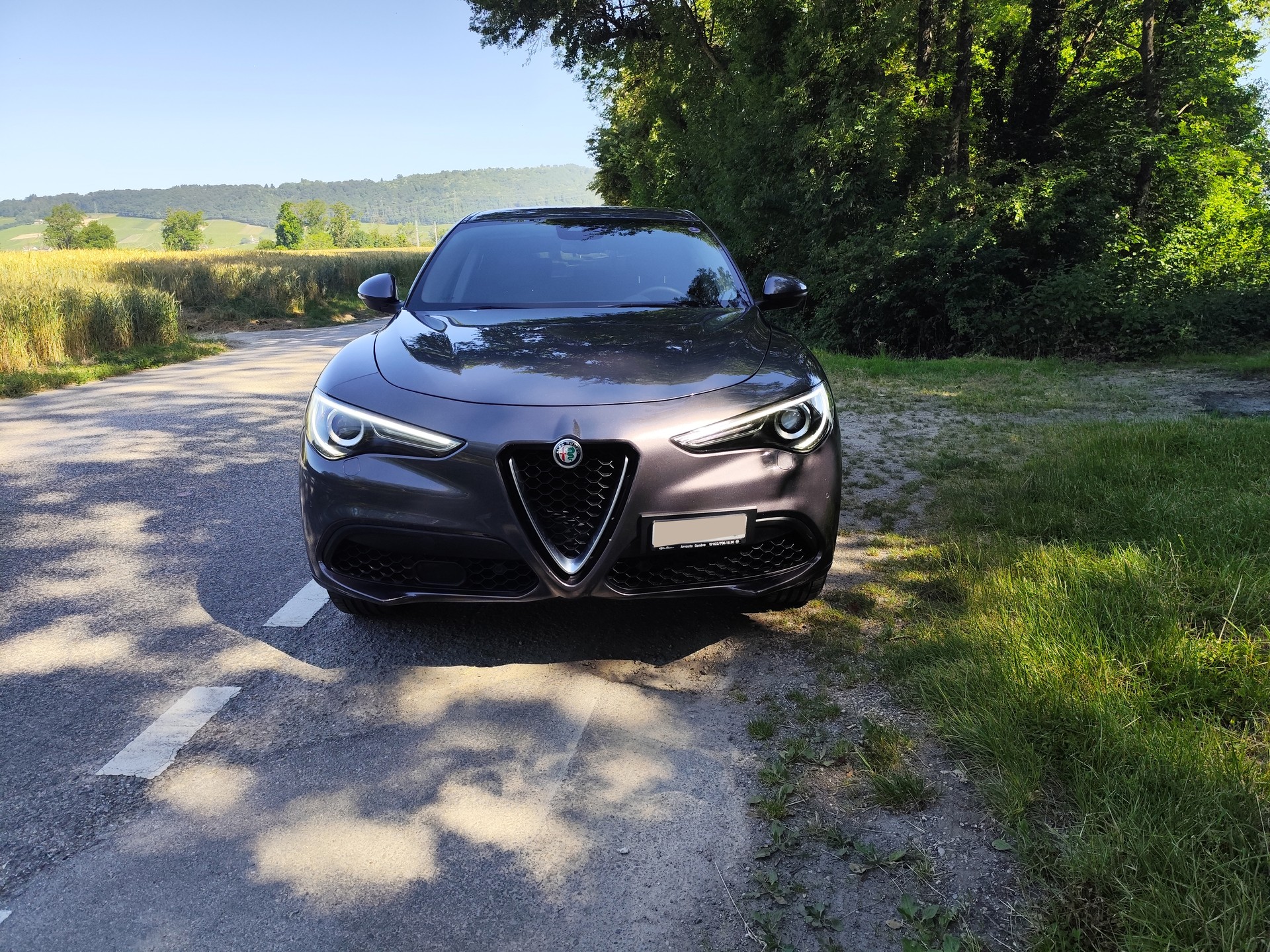 ALFA ROMEO Stelvio 2.0 Q4 Automatic