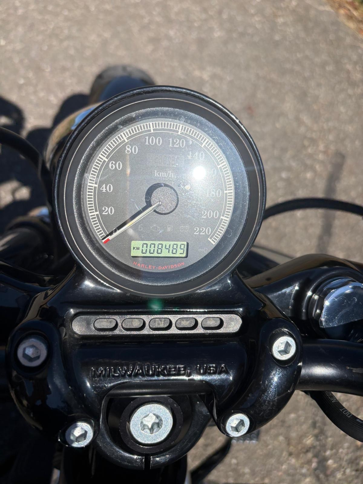 HARLEY-DAVIDSON XL 1200 X Forty Eight-image-3