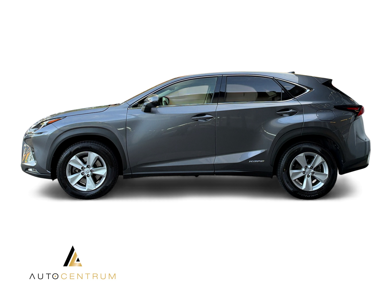 LEXUS NX 300h Excellence E-Four Automatic-showroom-element-2