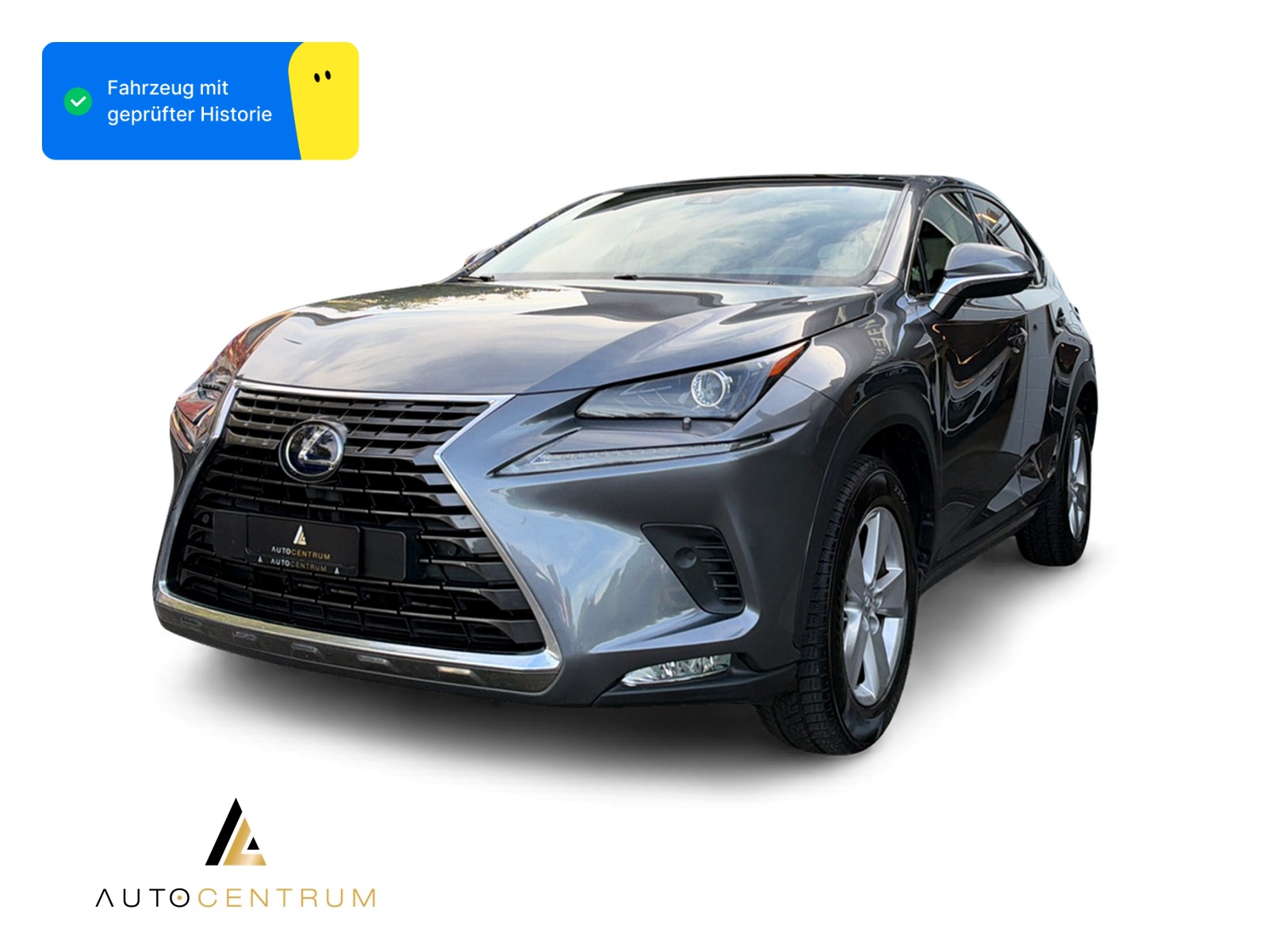 LEXUS NX 300h Excellence E-Four Automatic