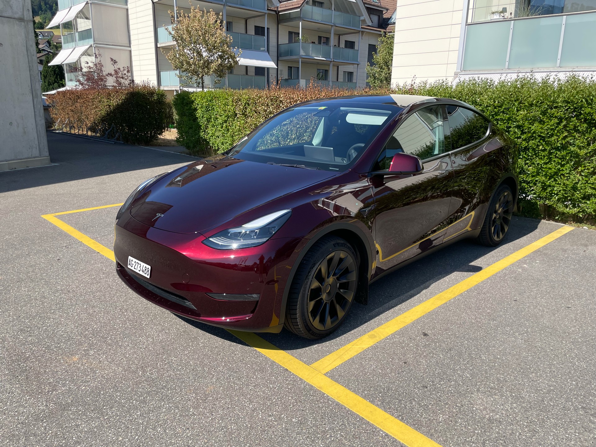 TESLA Long Range D