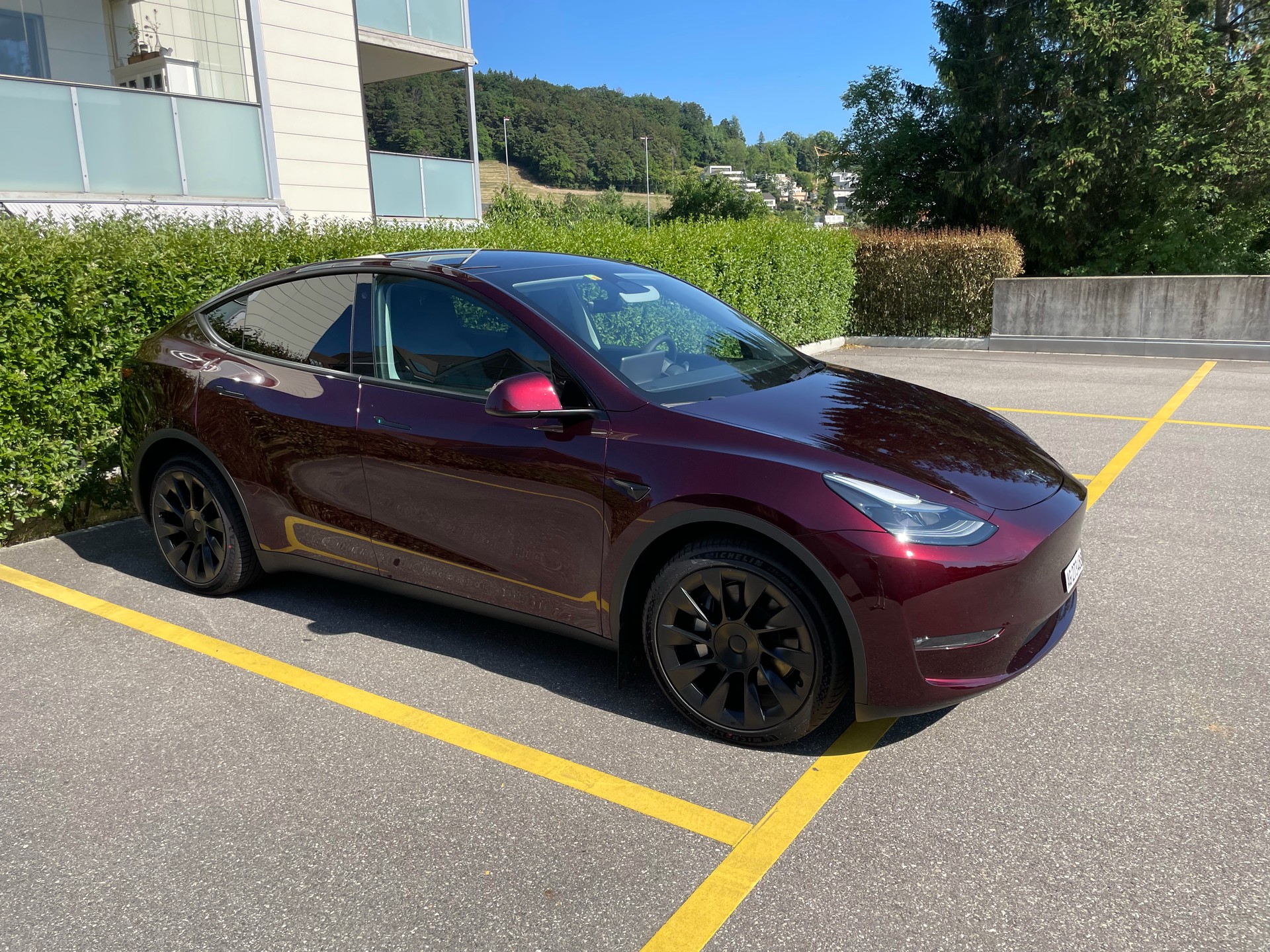 TESLA Long Range D-image-1