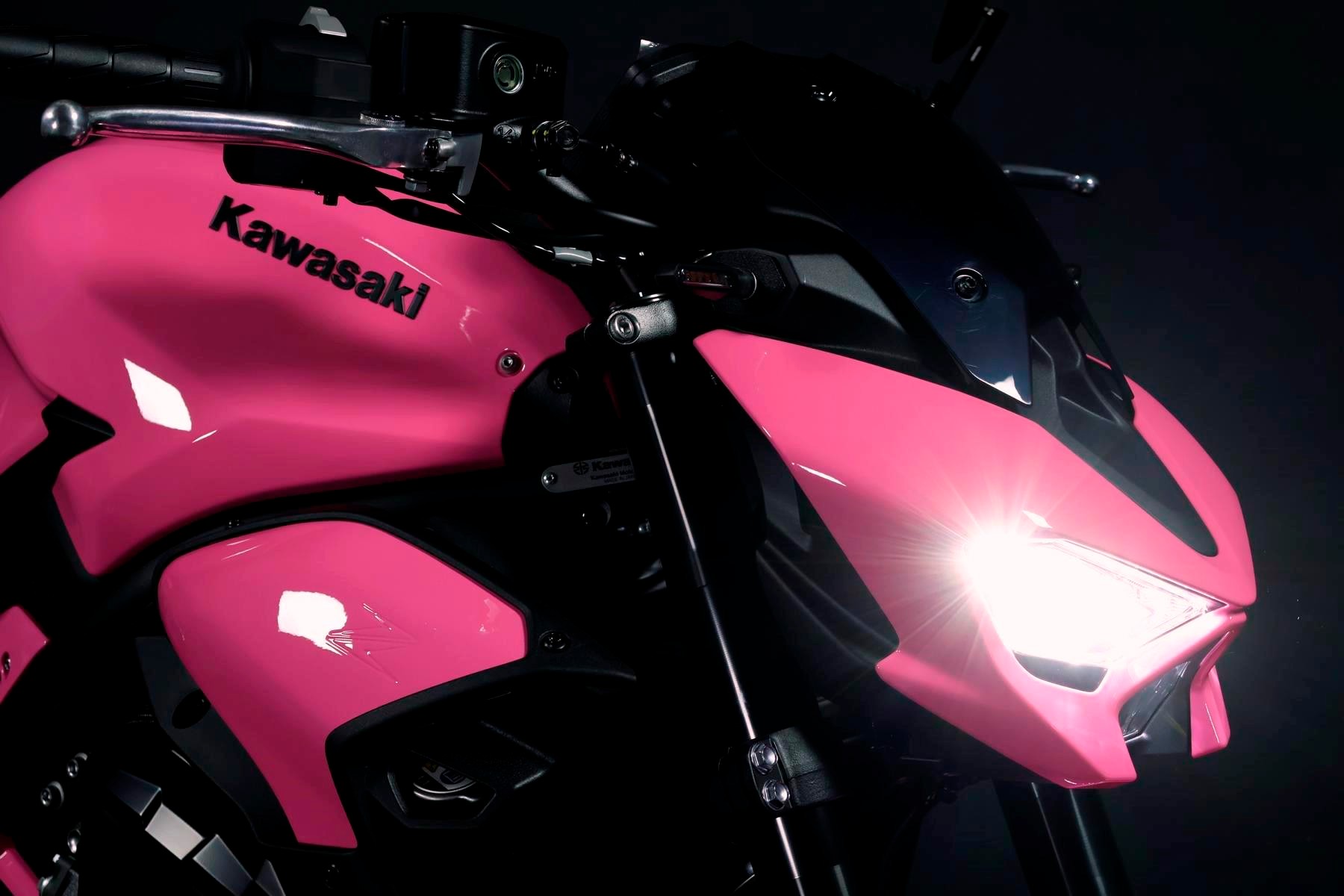 KAWASAKI Z 900 (91/70/35 KW) *Barbie Edition* Level 3-image-3