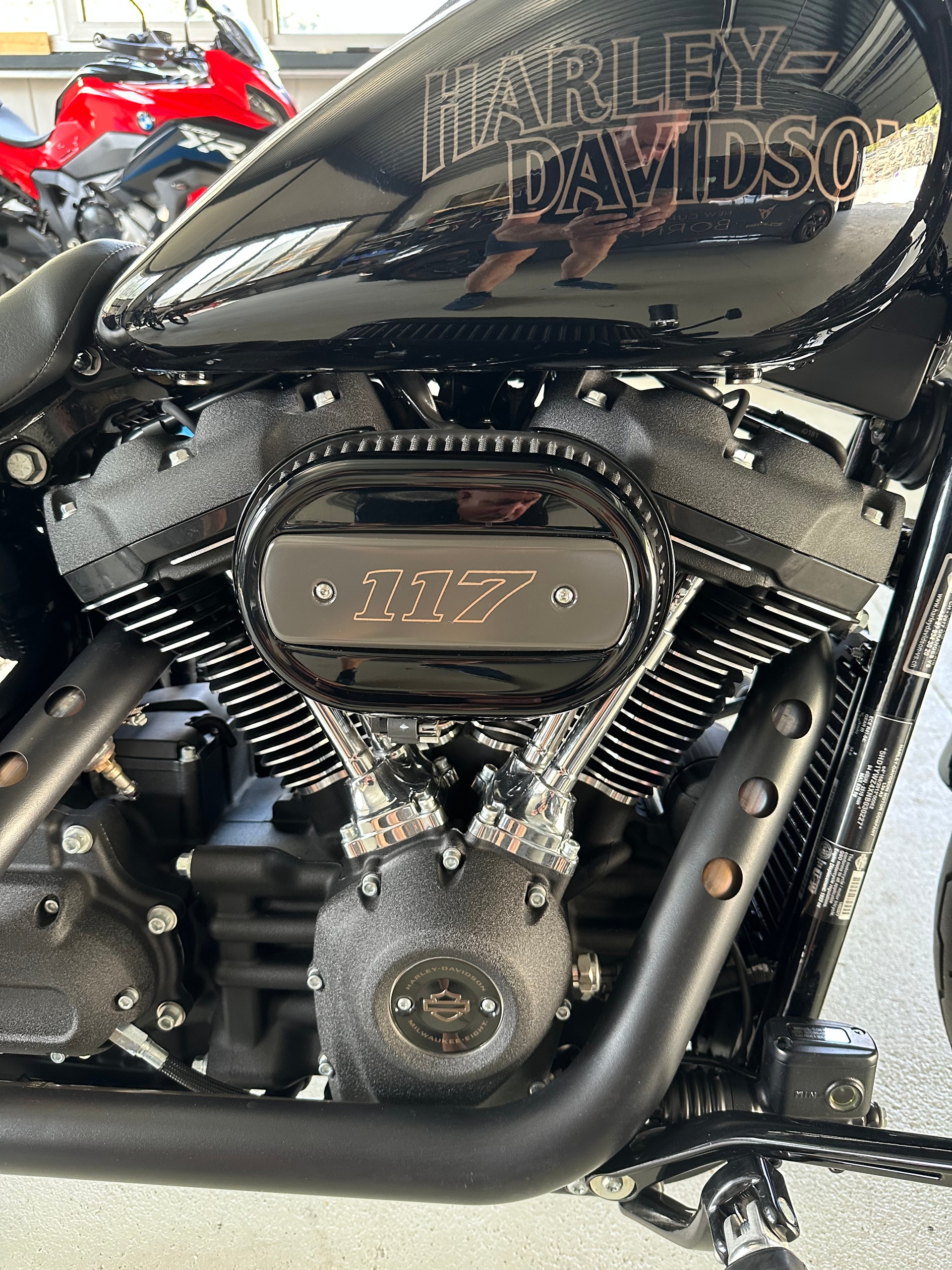 HARLEY-DAVIDSON FXLRS Low Rider S 117-image-8