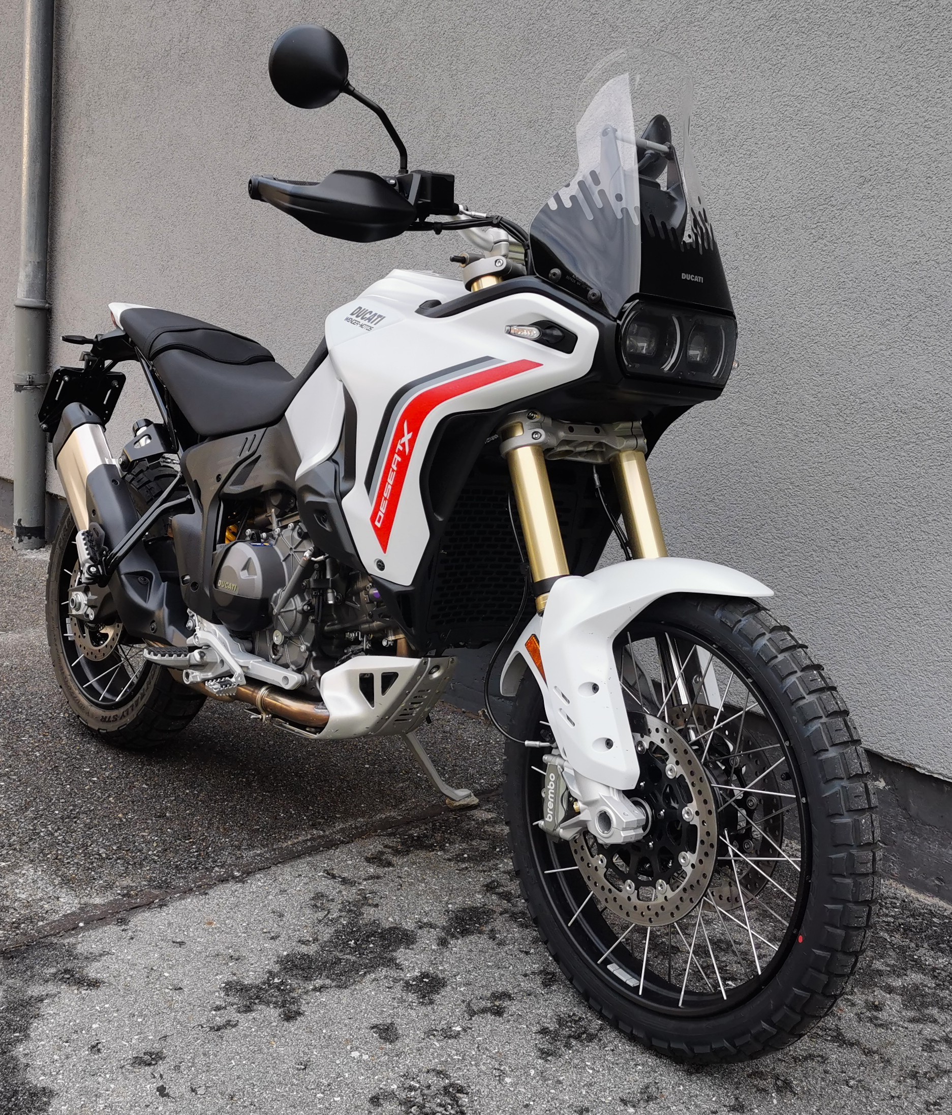 DUCATI DESERT X-image-1