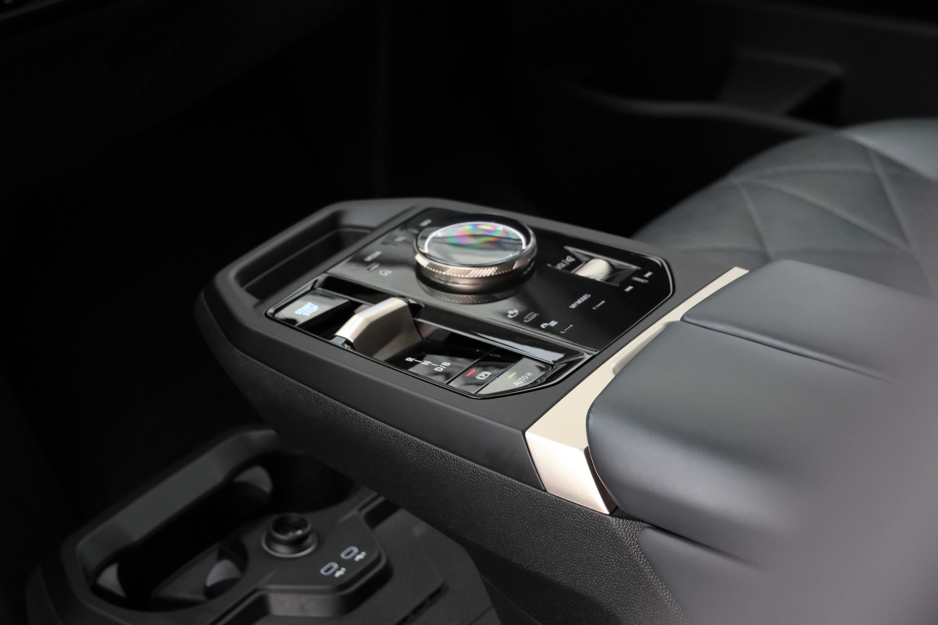 BMW iX xDrive40 (CH)-image-11