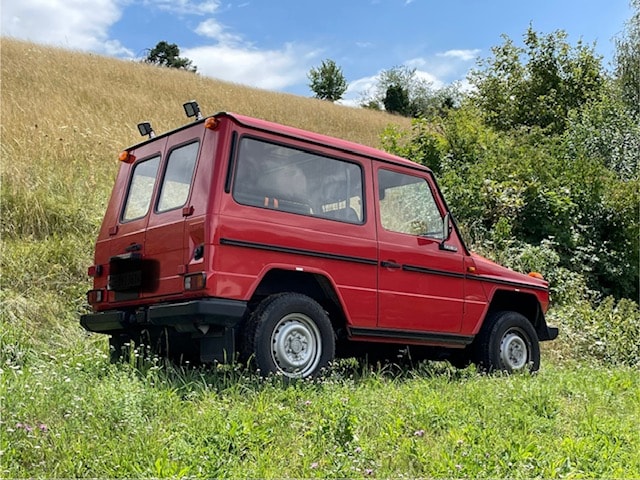 PUCH G 230 GEC Worker-image-2