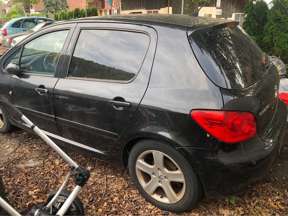 PEUGEOT 307 2.0 16V Platinum Edition-image-3