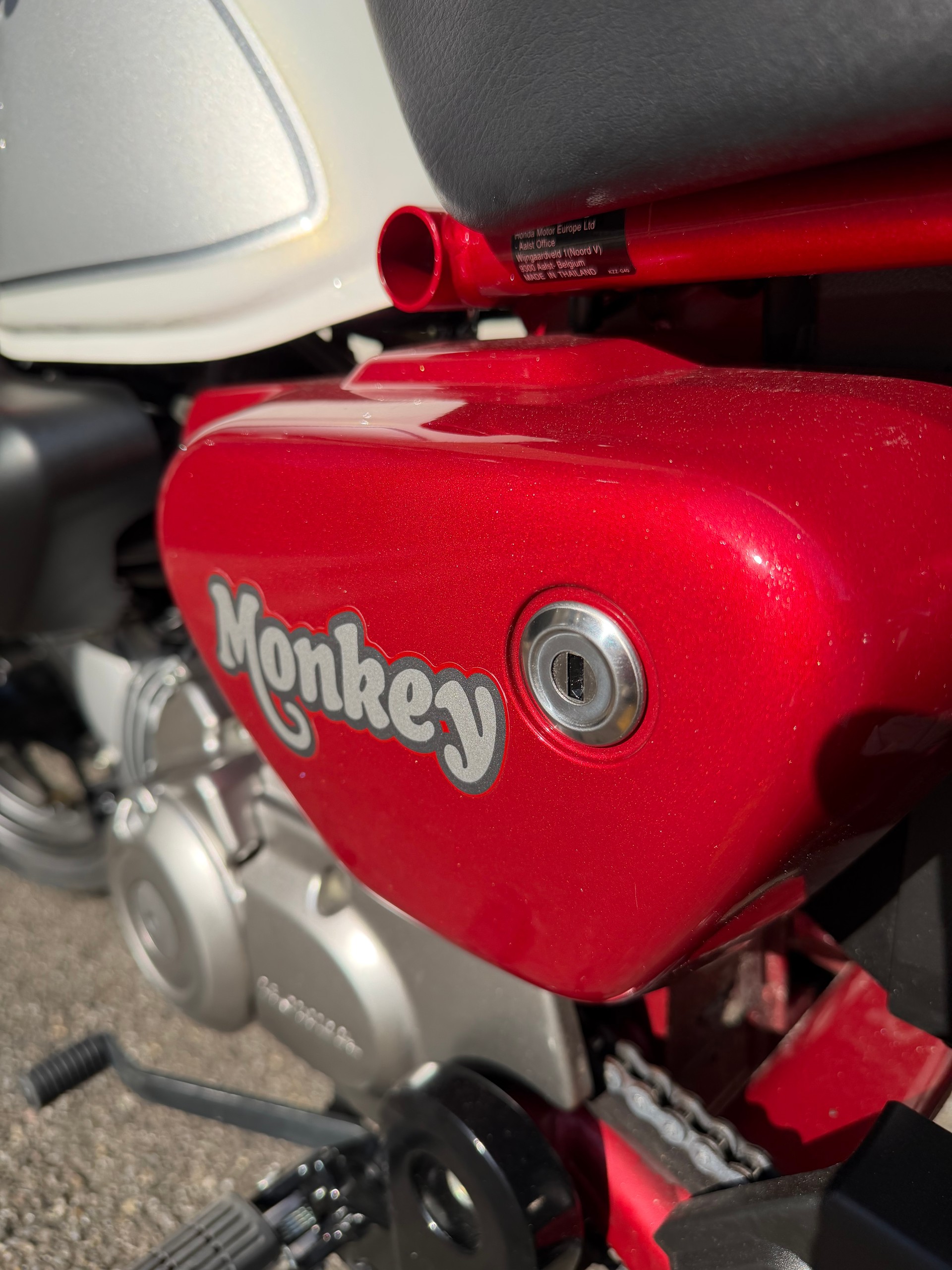 HONDA Z 125 Monkey-image-2