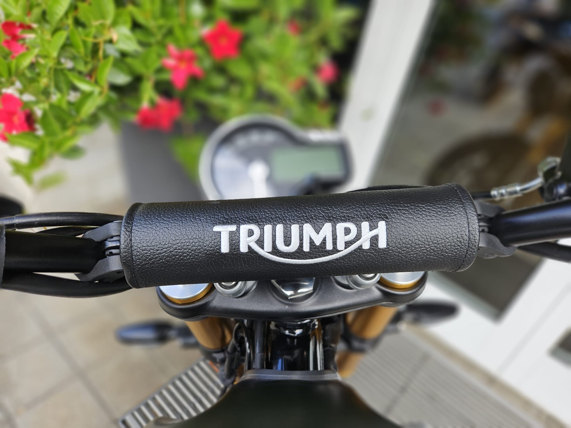 TRIUMPH Scrambler 400 X-image-7