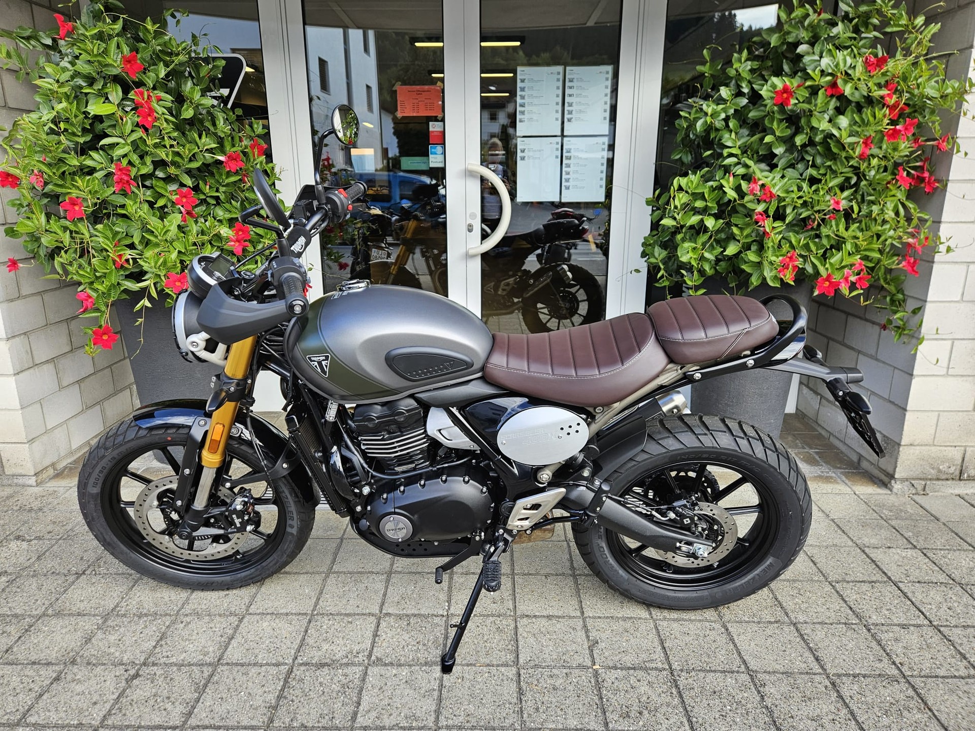 TRIUMPH Scrambler 400 X-image-3