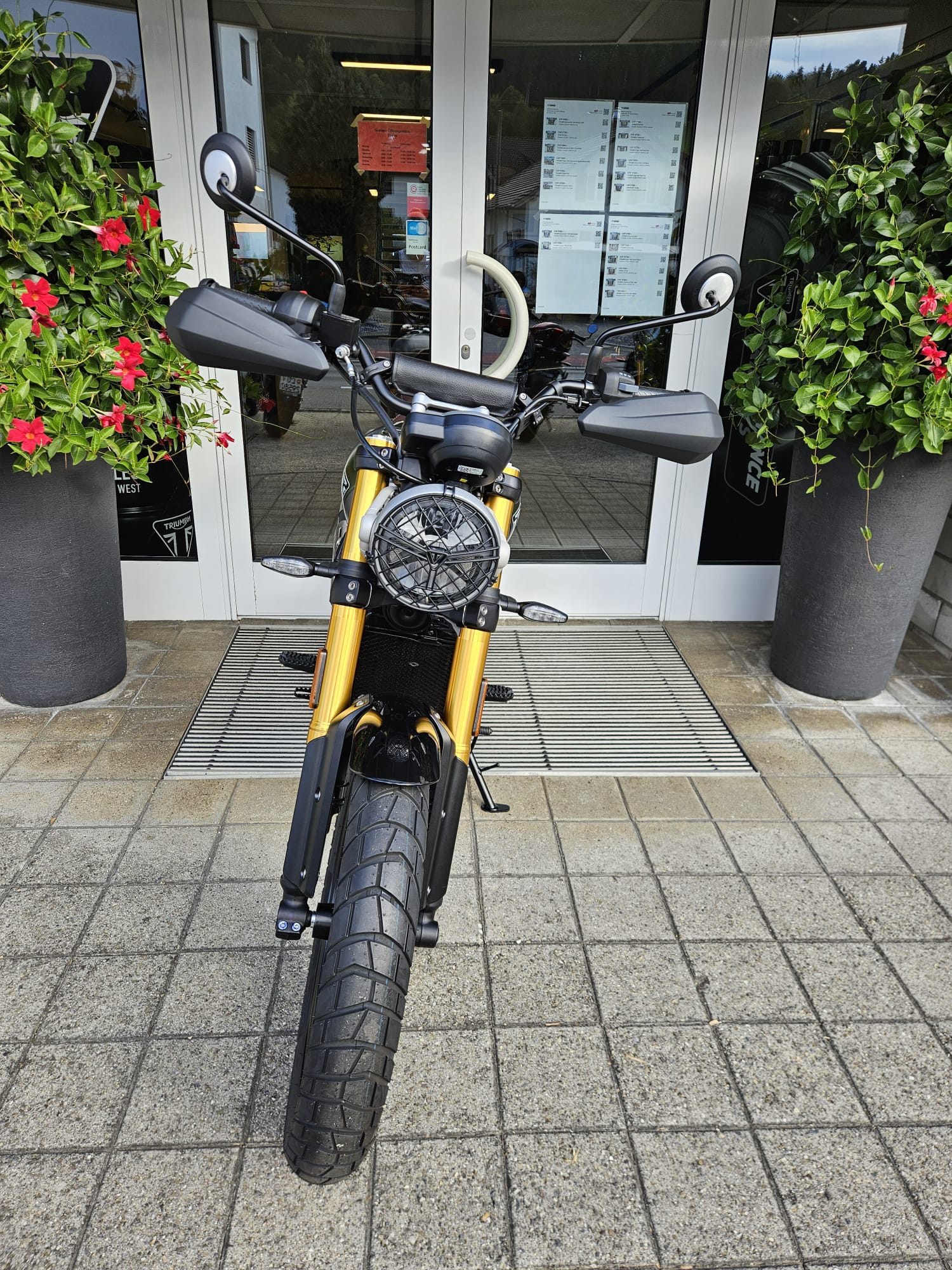 TRIUMPH Scrambler 400 X-image-4