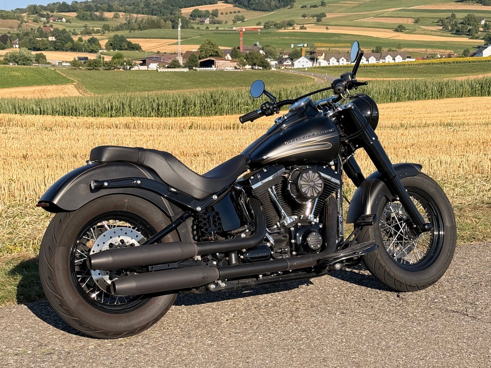 HARLEY-DAVIDSON FLS Softail Slim ABS-image-1