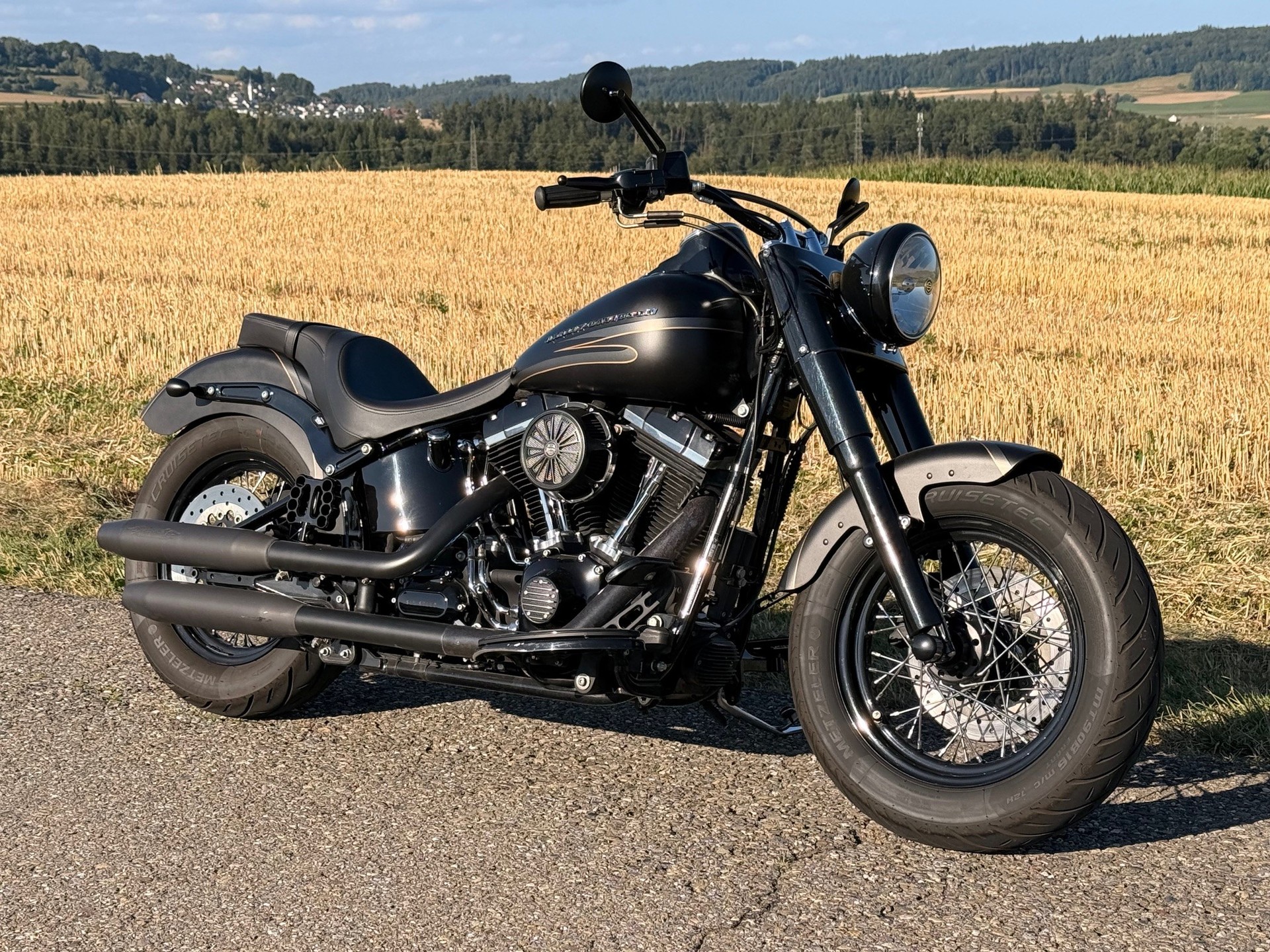 HARLEY-DAVIDSON FLS Softail Slim ABS-image-2