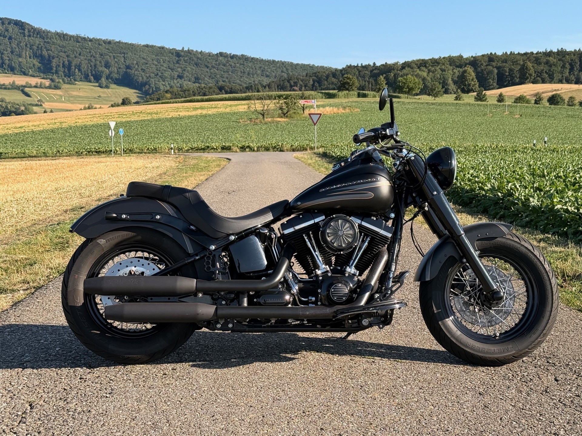 HARLEY-DAVIDSON FLS Softail Slim ABS-image-0