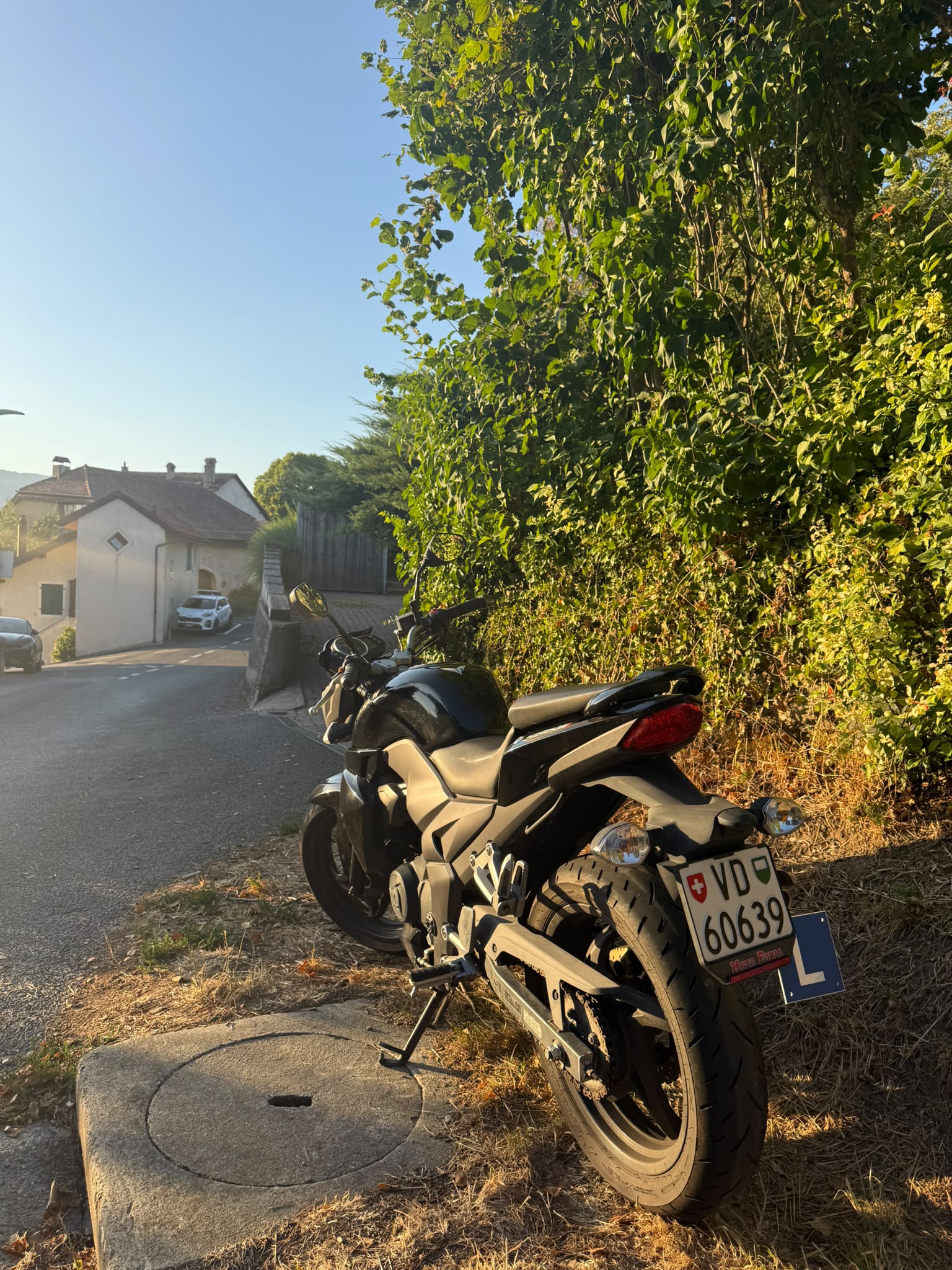 SYM Wolf SB 250 NI-image-2