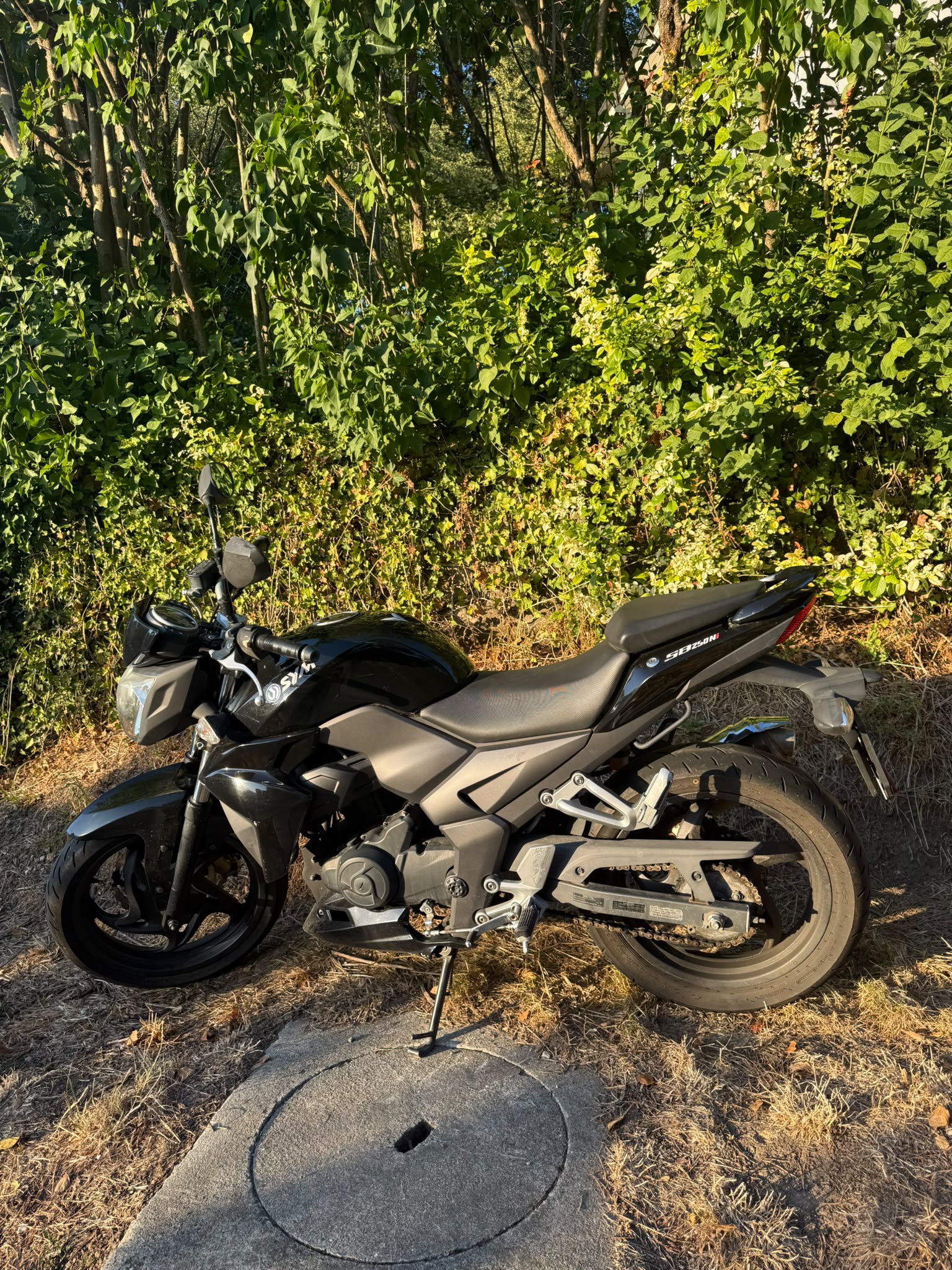 SYM Wolf SB 250 NI-image-1
