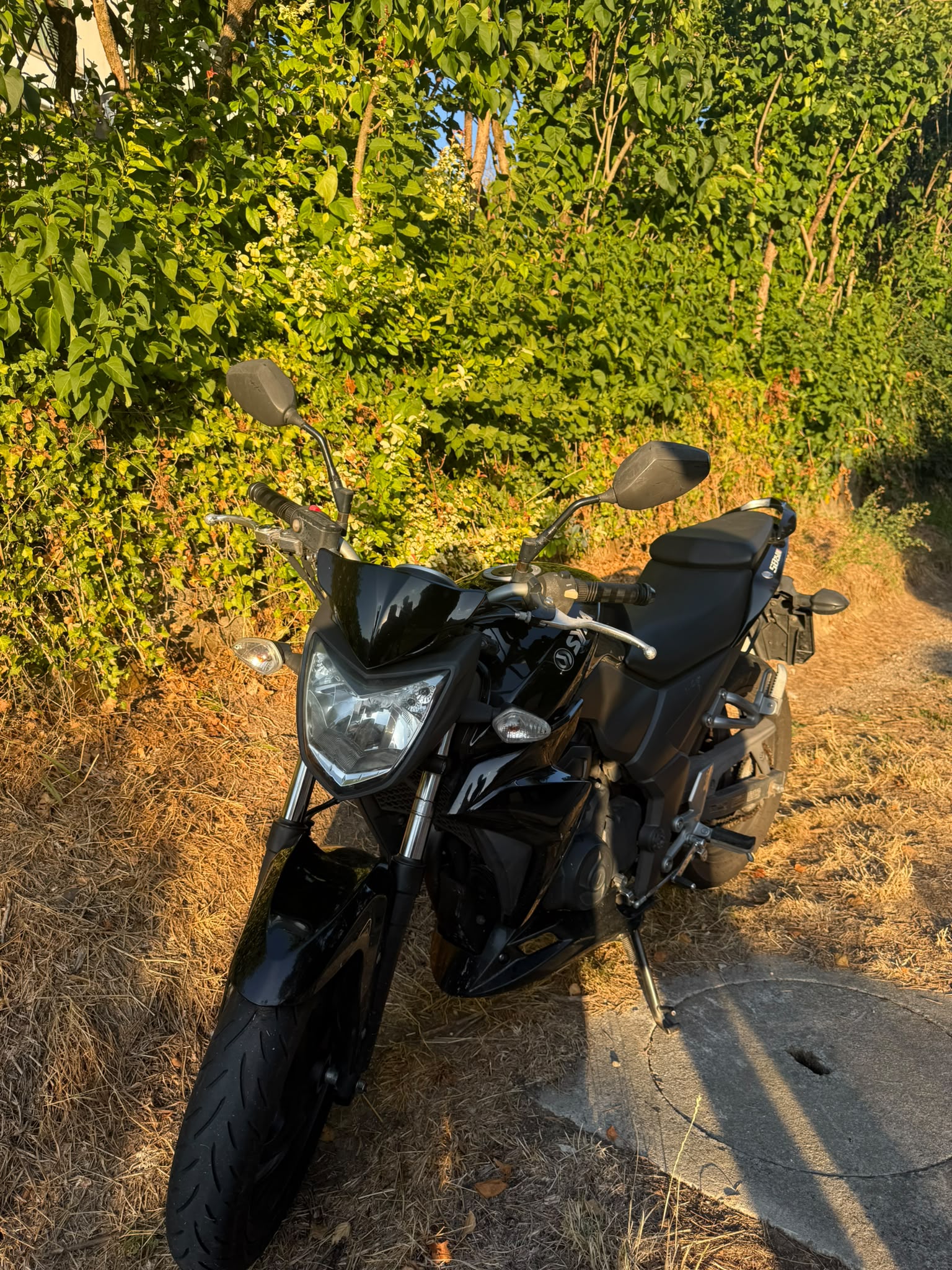 SYM Wolf SB 250 NI-image-0