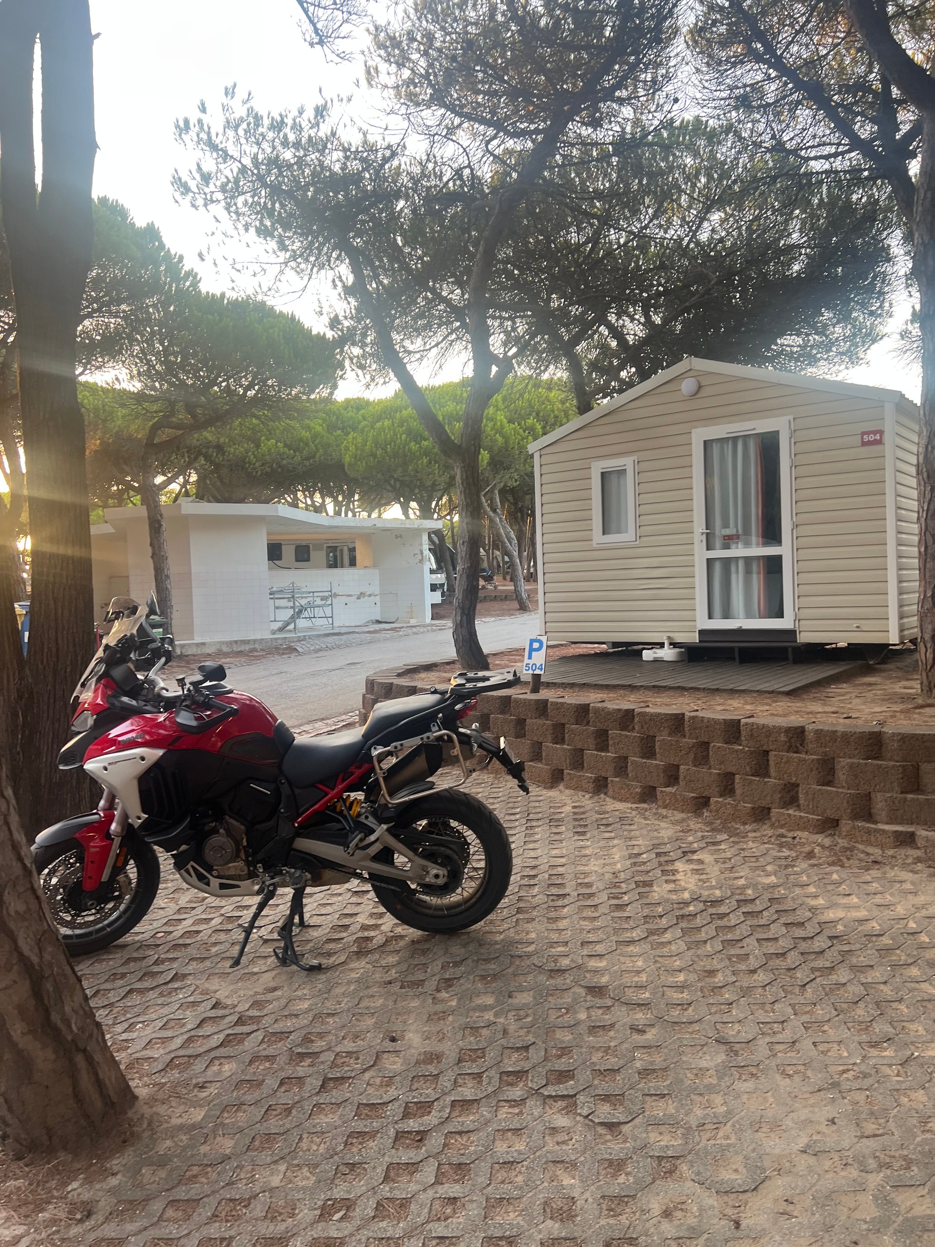 DUCATI Multistrada V4 Rally Full Adventure-image-2