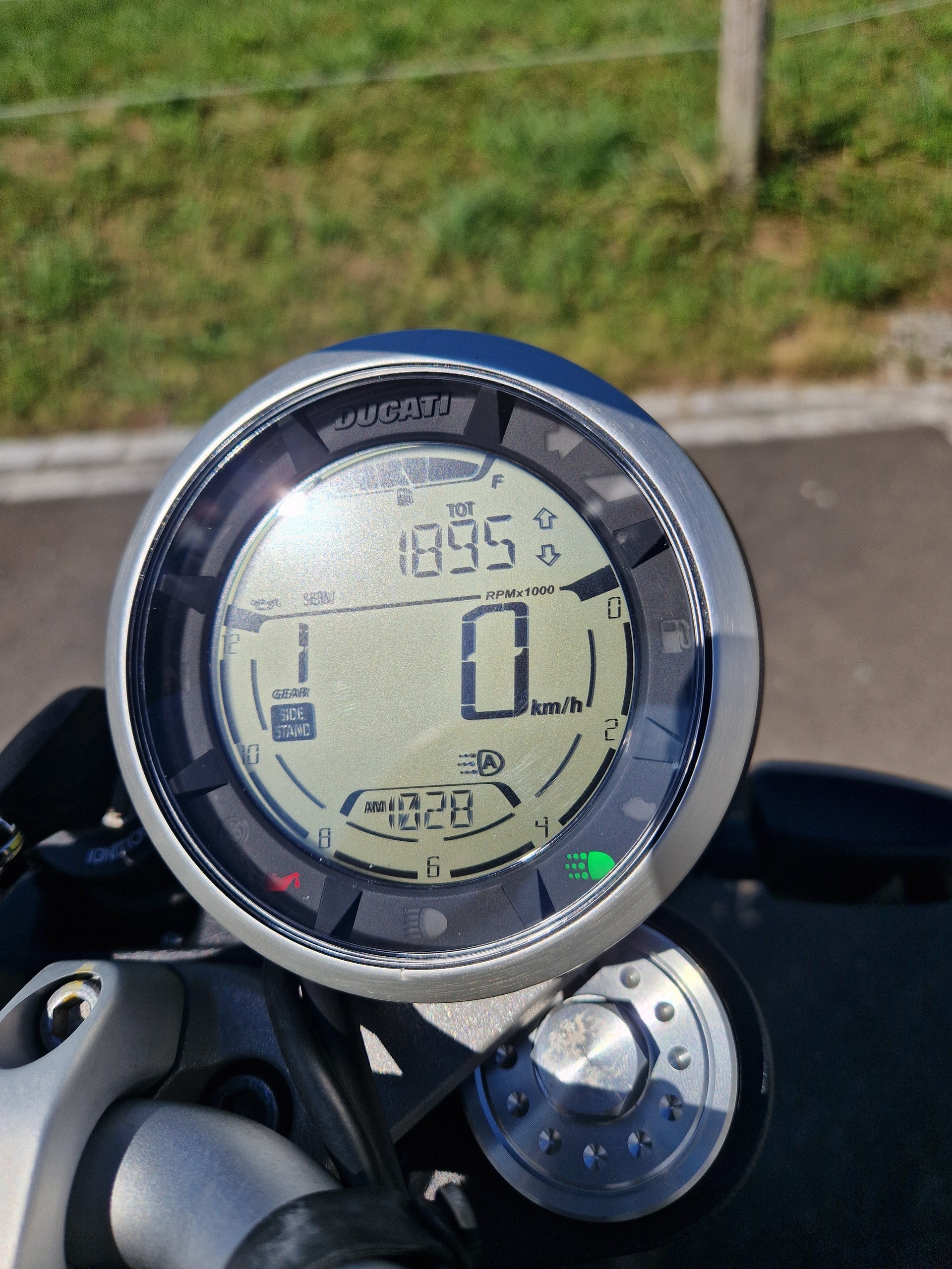 DUCATI Scrambler 803 Icon-image-3
