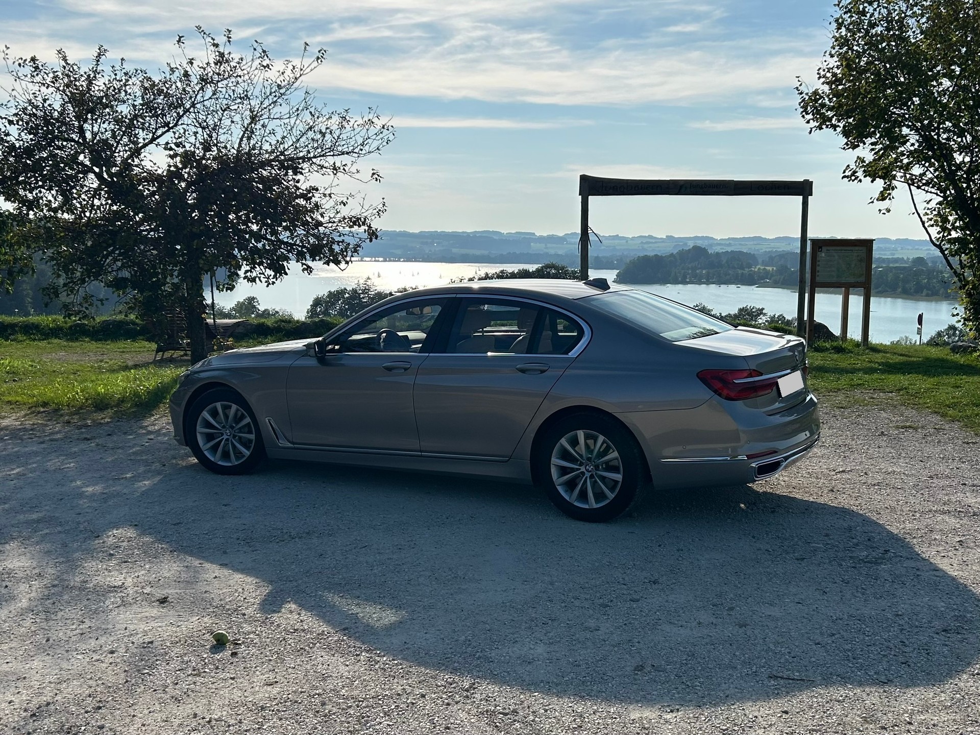BMW 730d xDrive Steptronic-image-3
