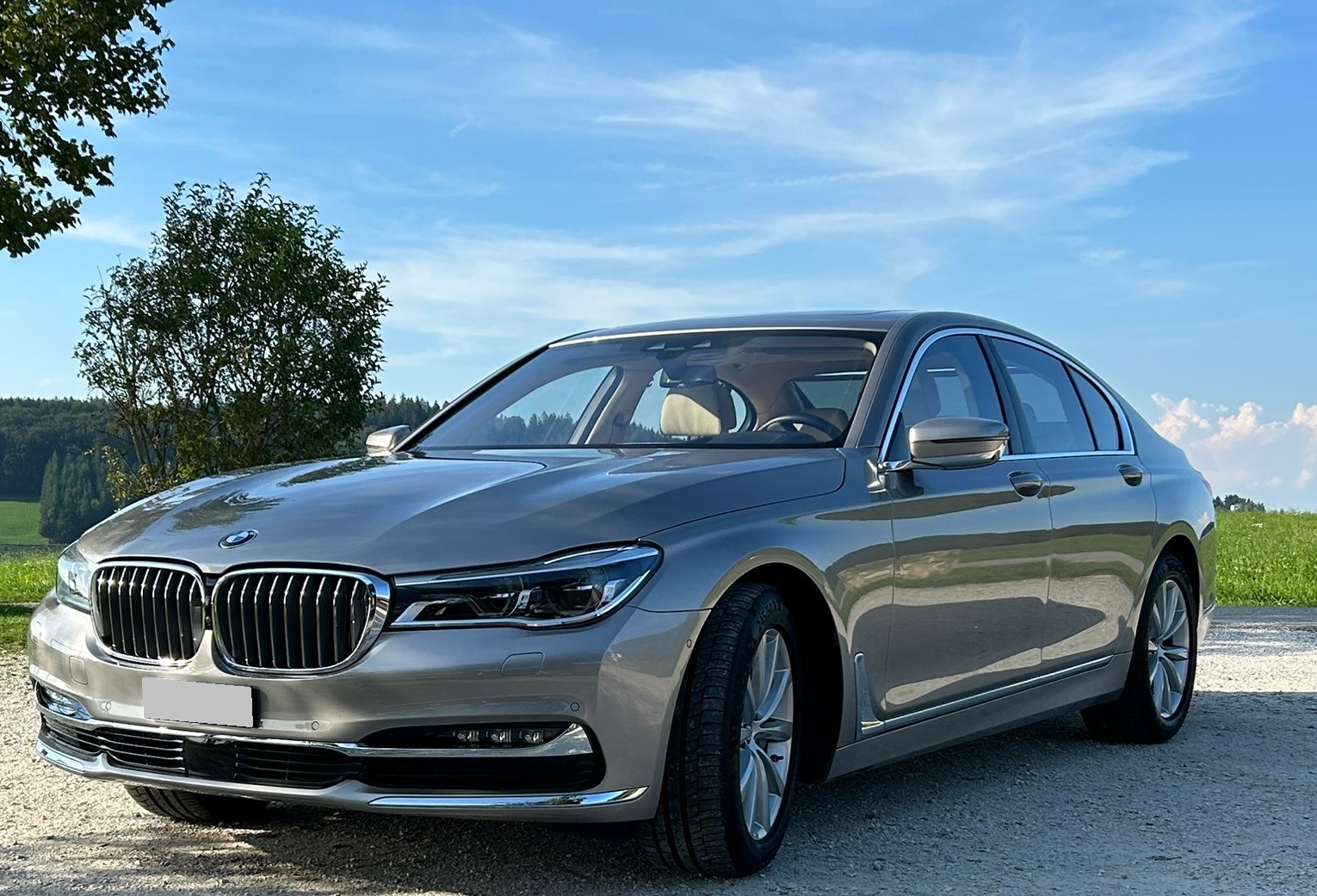 BMW 730d xDrive Steptronic-image-1