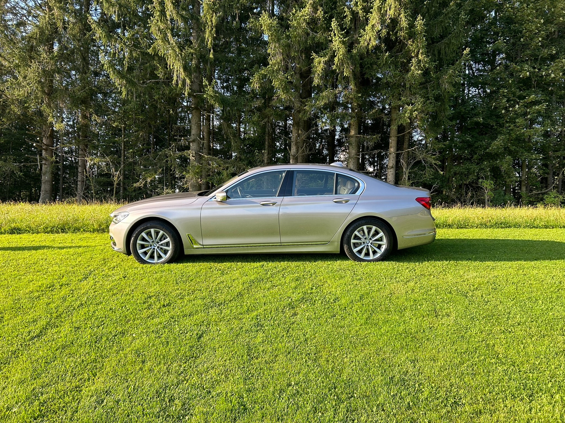 BMW 730d xDrive Steptronic-image-4