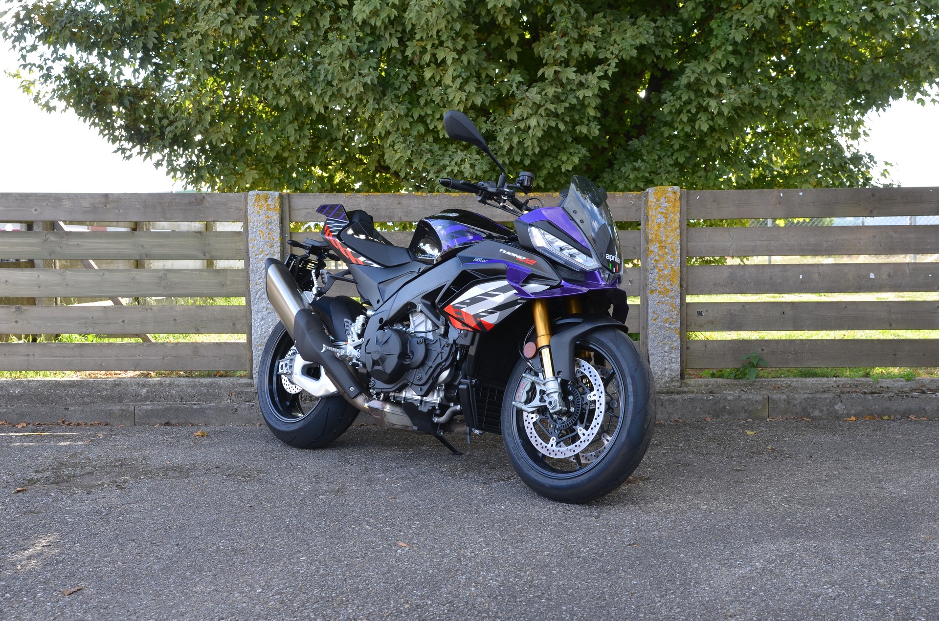 APRILIA Tuono V4 1100 E5+ Factory-image-2