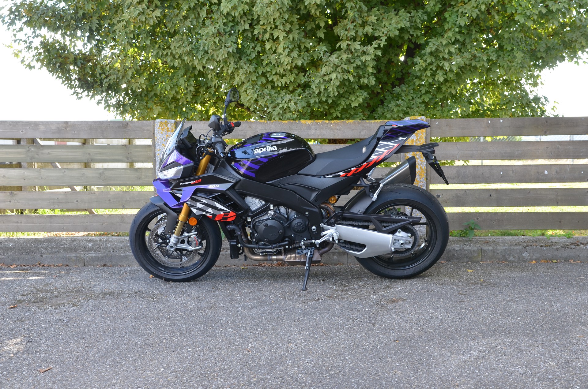 APRILIA Tuono V4 1100 E5+ Factory-image-4