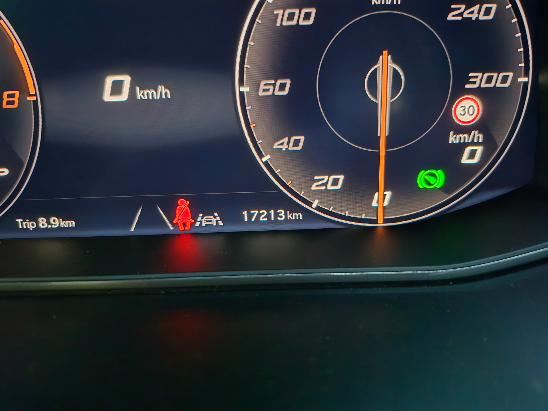 CUPRA Ateca 2.0TSI 4Drive DSG Anhängevorrichtung!-image-13