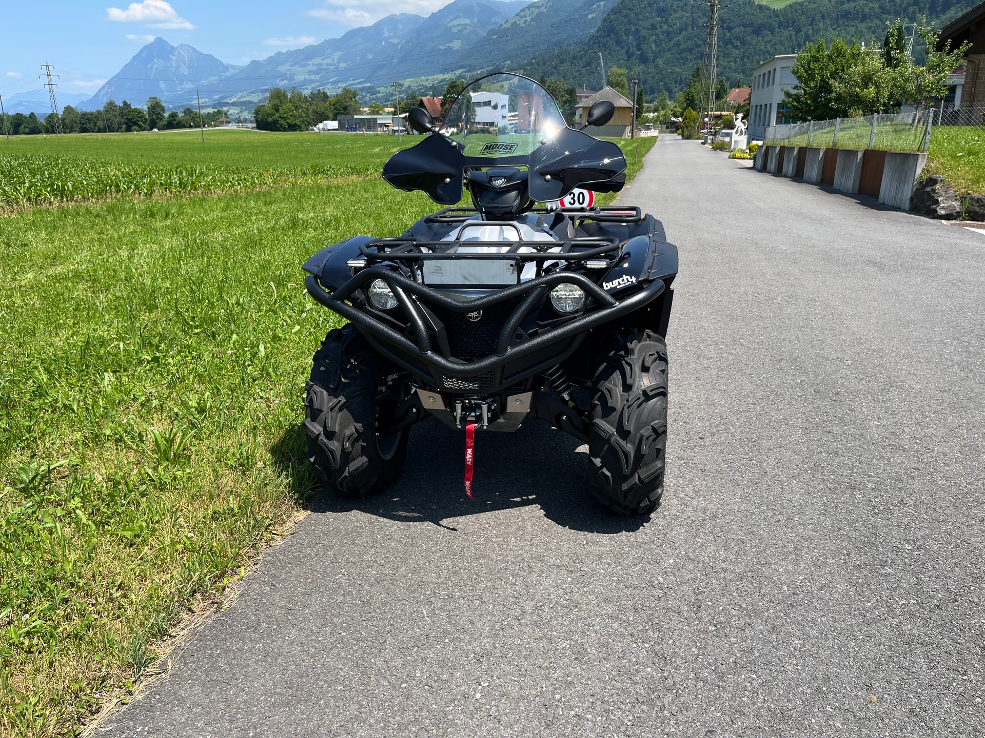 YAMAHA Grizzly-image-5