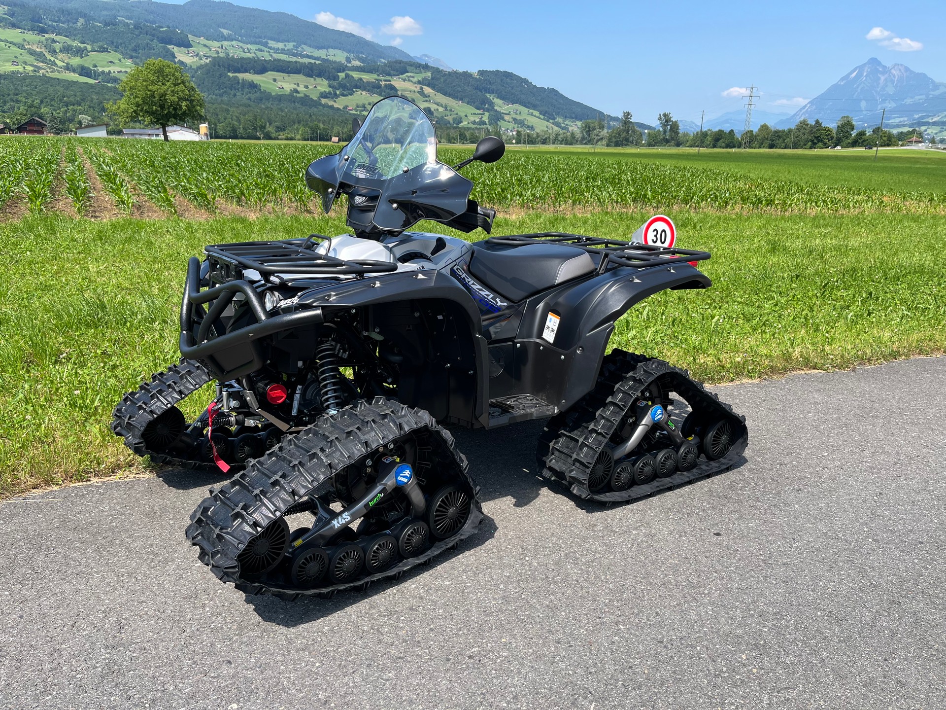 YAMAHA Grizzly