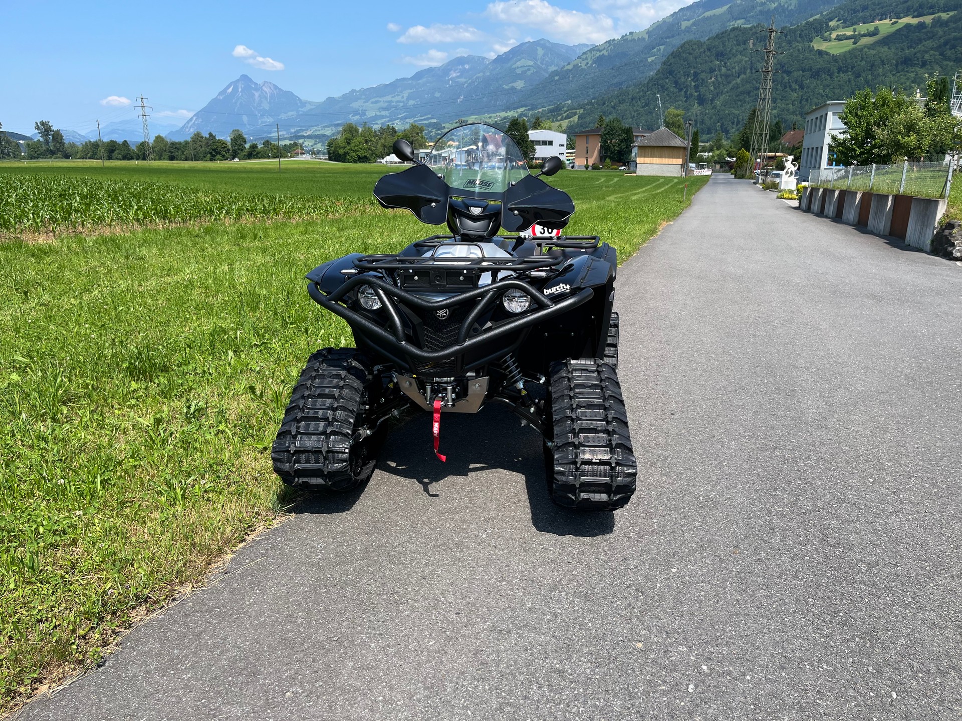 YAMAHA Grizzly-image-1