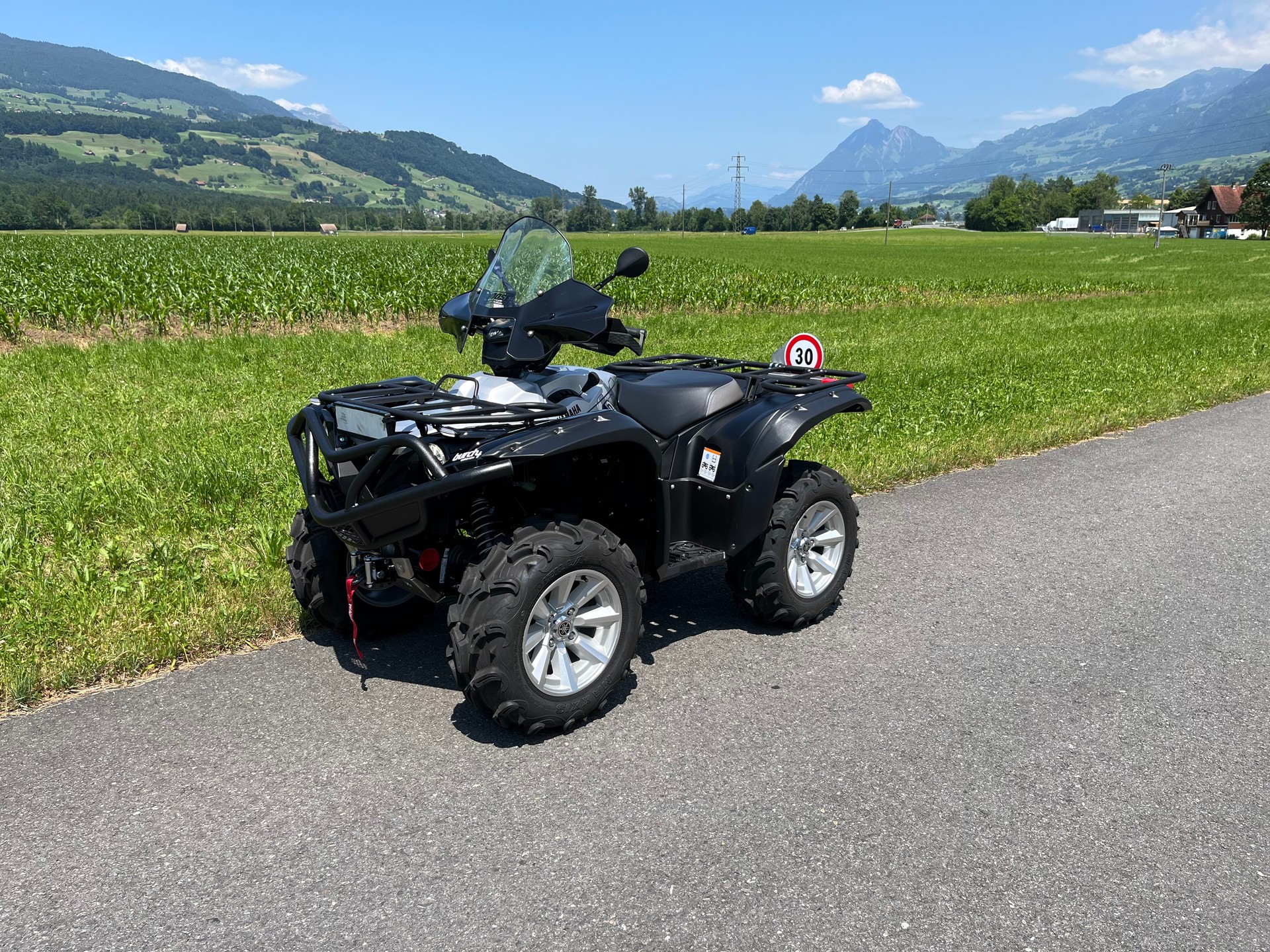 YAMAHA Grizzly-image-8