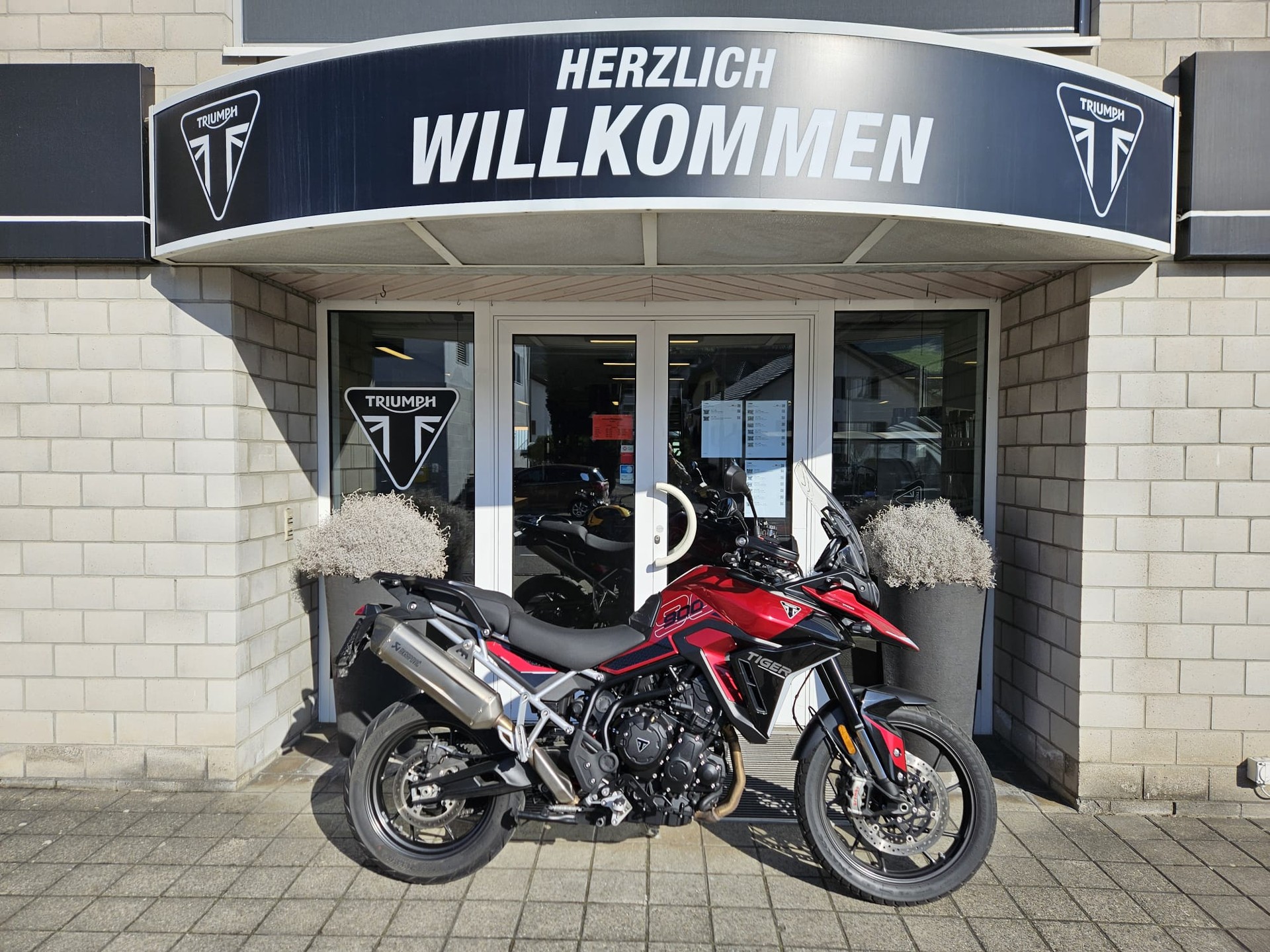 TRIUMPH Tiger 900 GT Pro-image-0