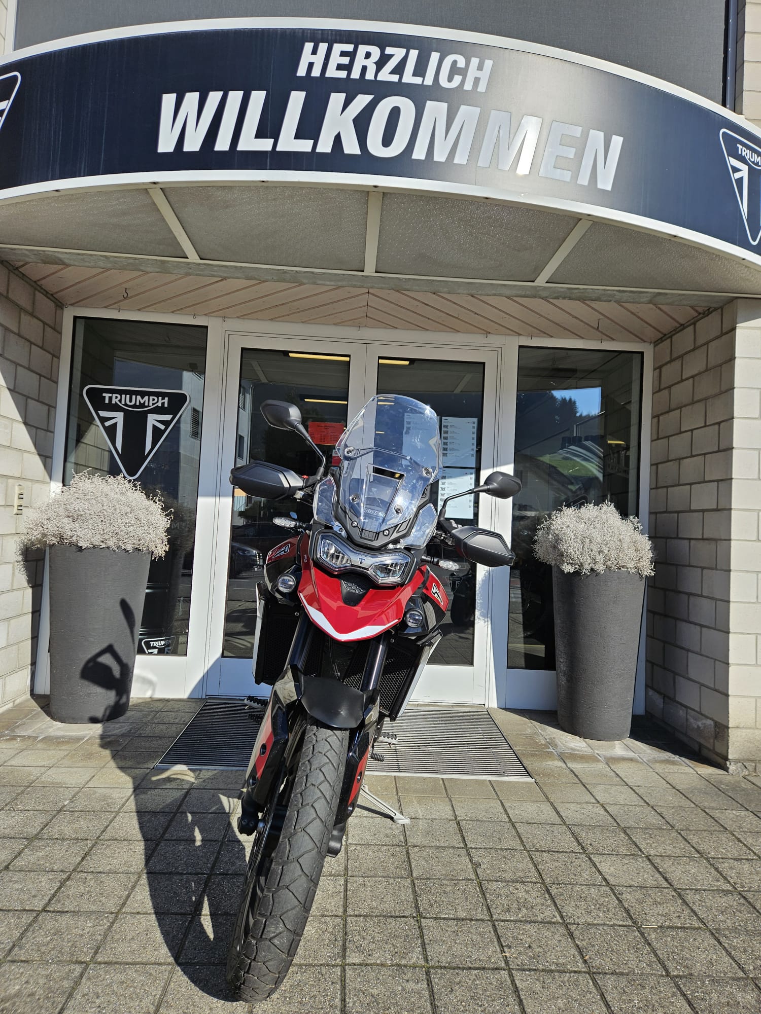 TRIUMPH Tiger 900 GT Pro-image-5