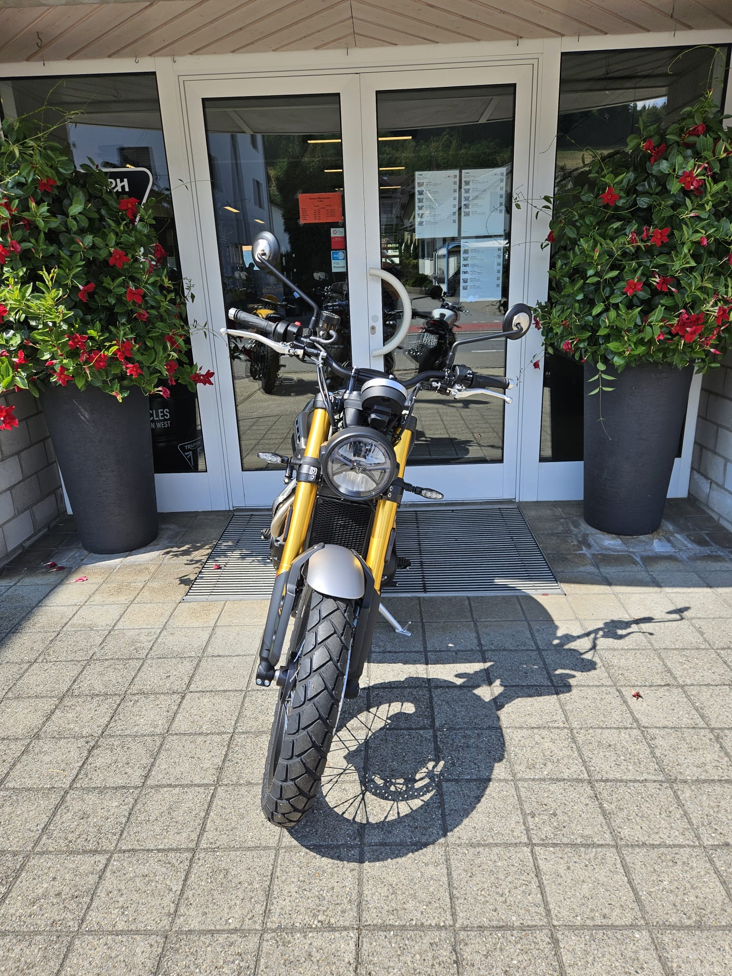 TRIUMPH Scrambler 900-image-4