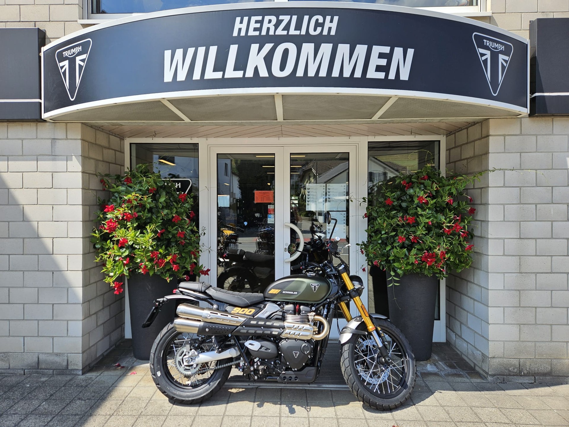 TRIUMPH Scrambler 900-image-0