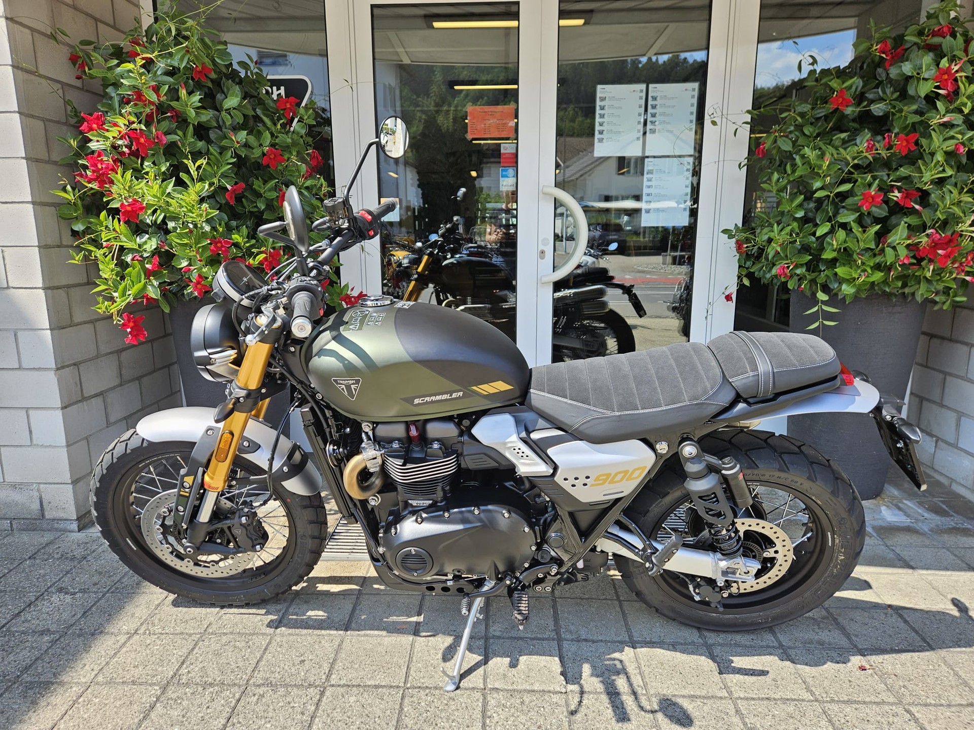 TRIUMPH Scrambler 900-image-3