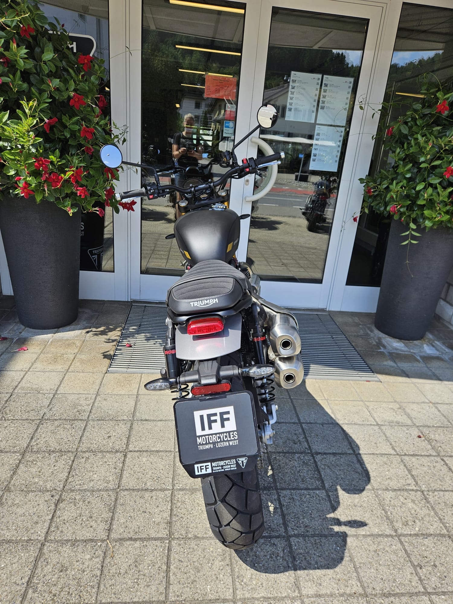 TRIUMPH Scrambler 900-image-5