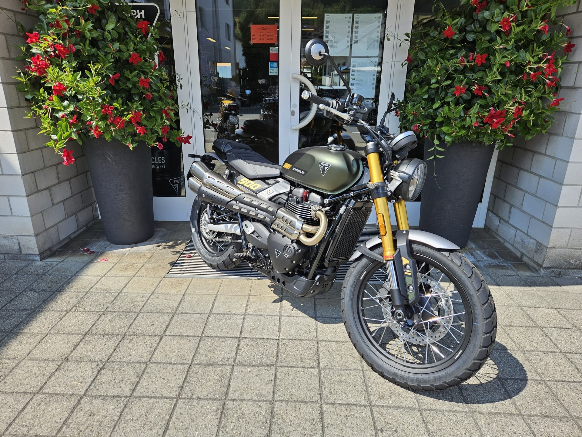 TRIUMPH Scrambler 900-image-2