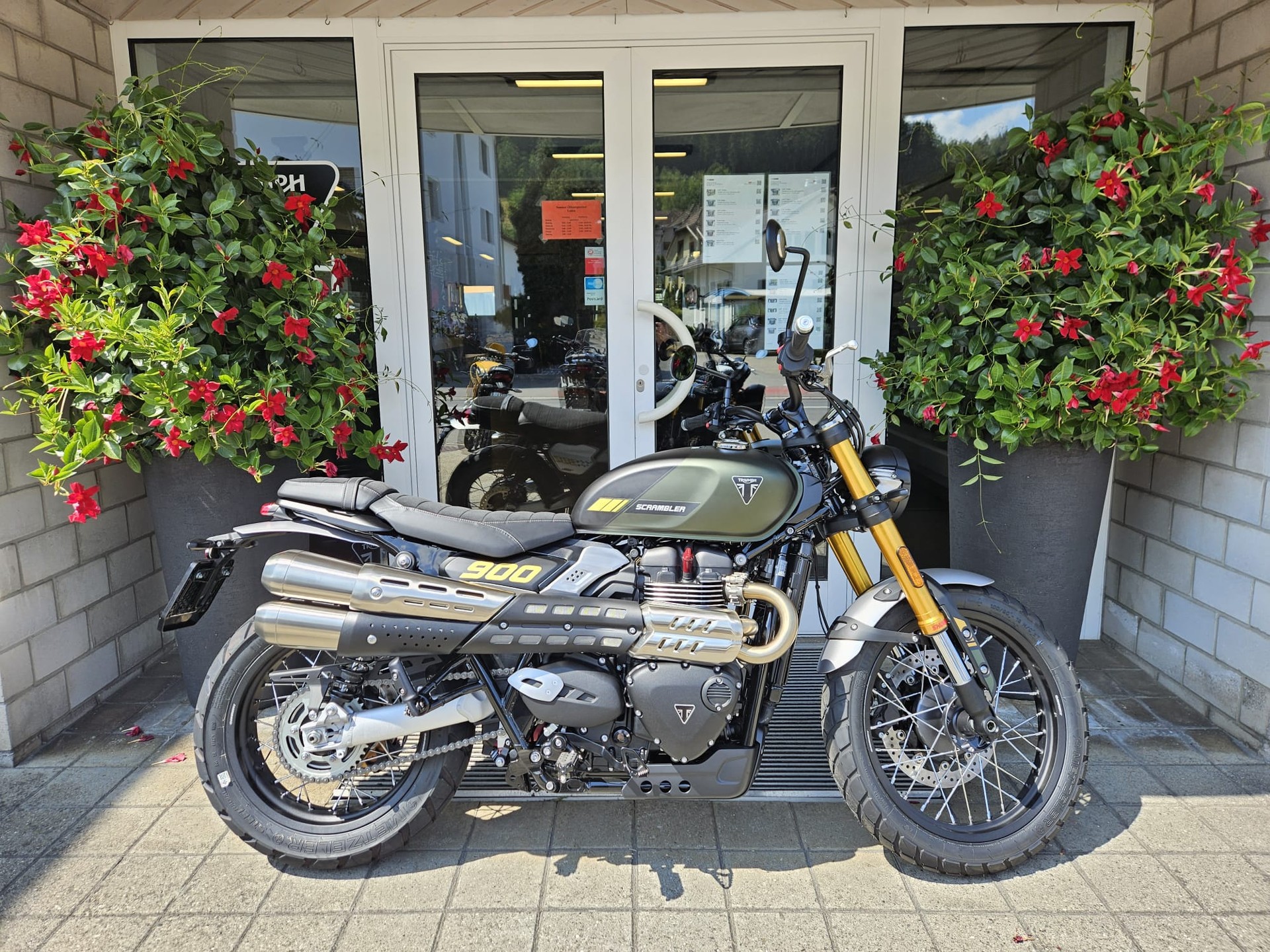TRIUMPH Scrambler 900-image-1