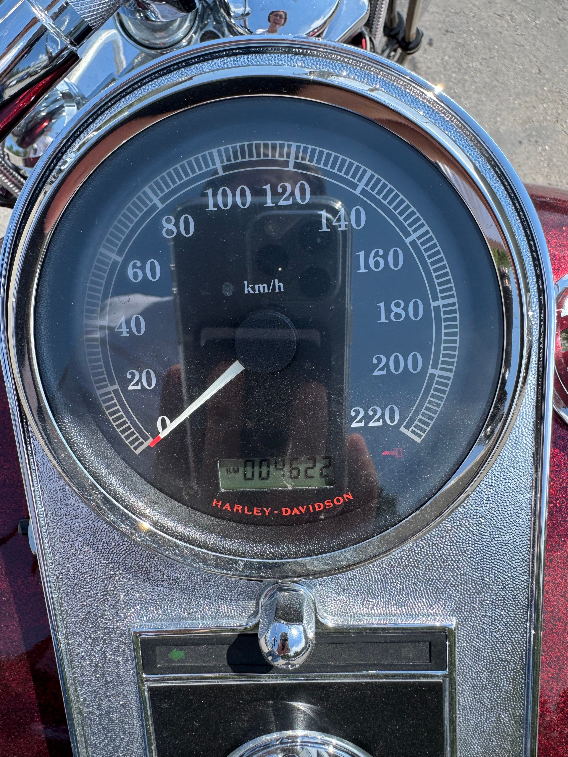 HARLEY-DAVIDSON FLSTC Softail Custom Anniversary-image-12