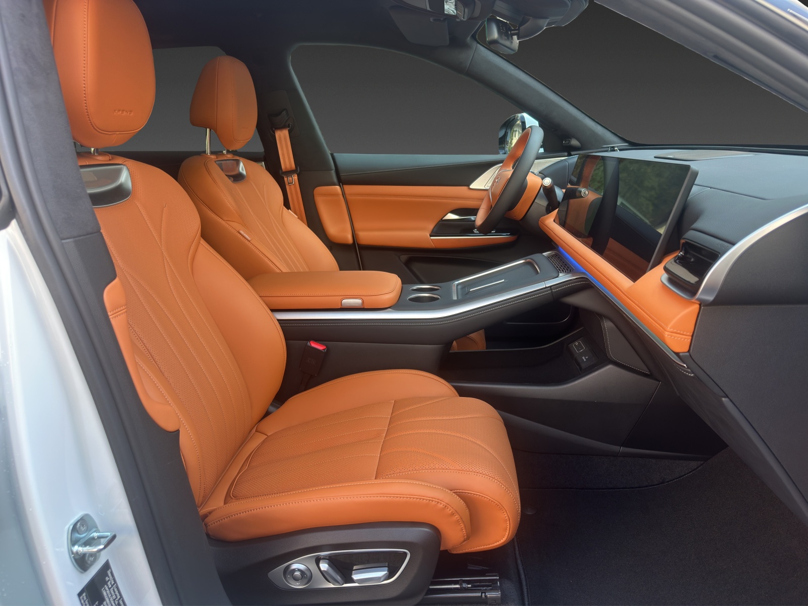 XPENG G9 93kWh Performance AWD-image-10