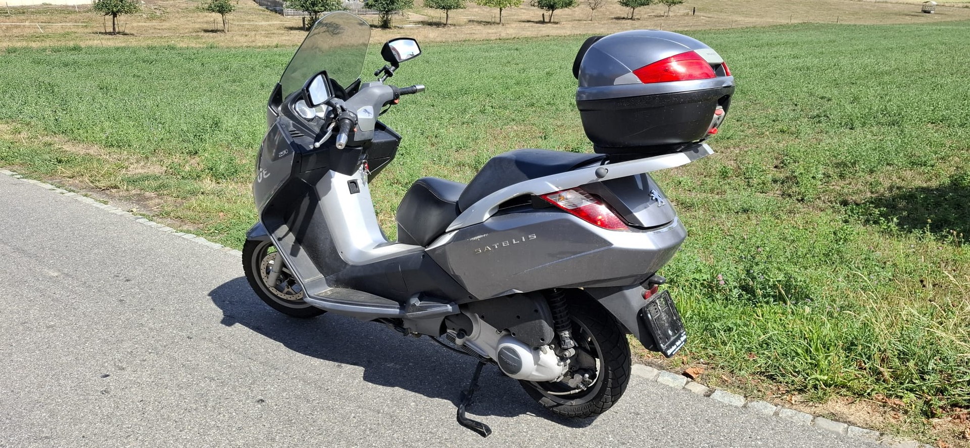 PEUGEOT Satelis 250 Executive ABS-image-3