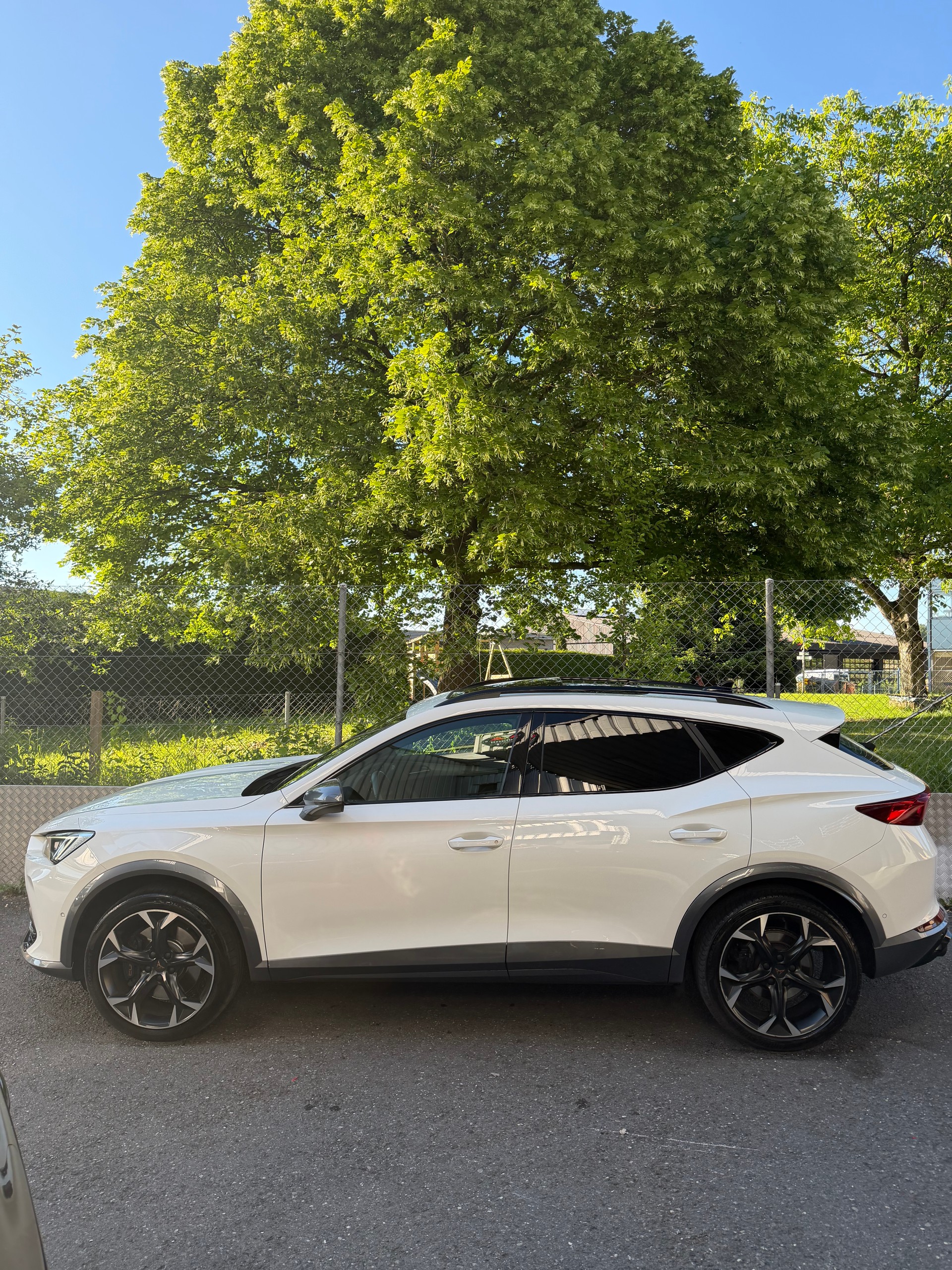 CUPRA Formentor 2.0TSI VZ 4Drive DSG-image-2