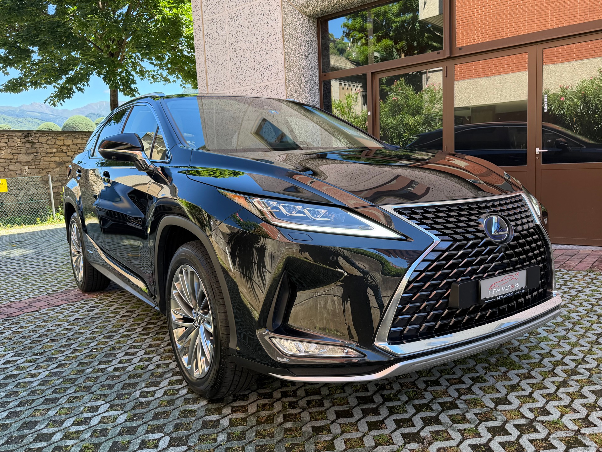 LEXUS RX 450h excellence AWD CVT-image-2